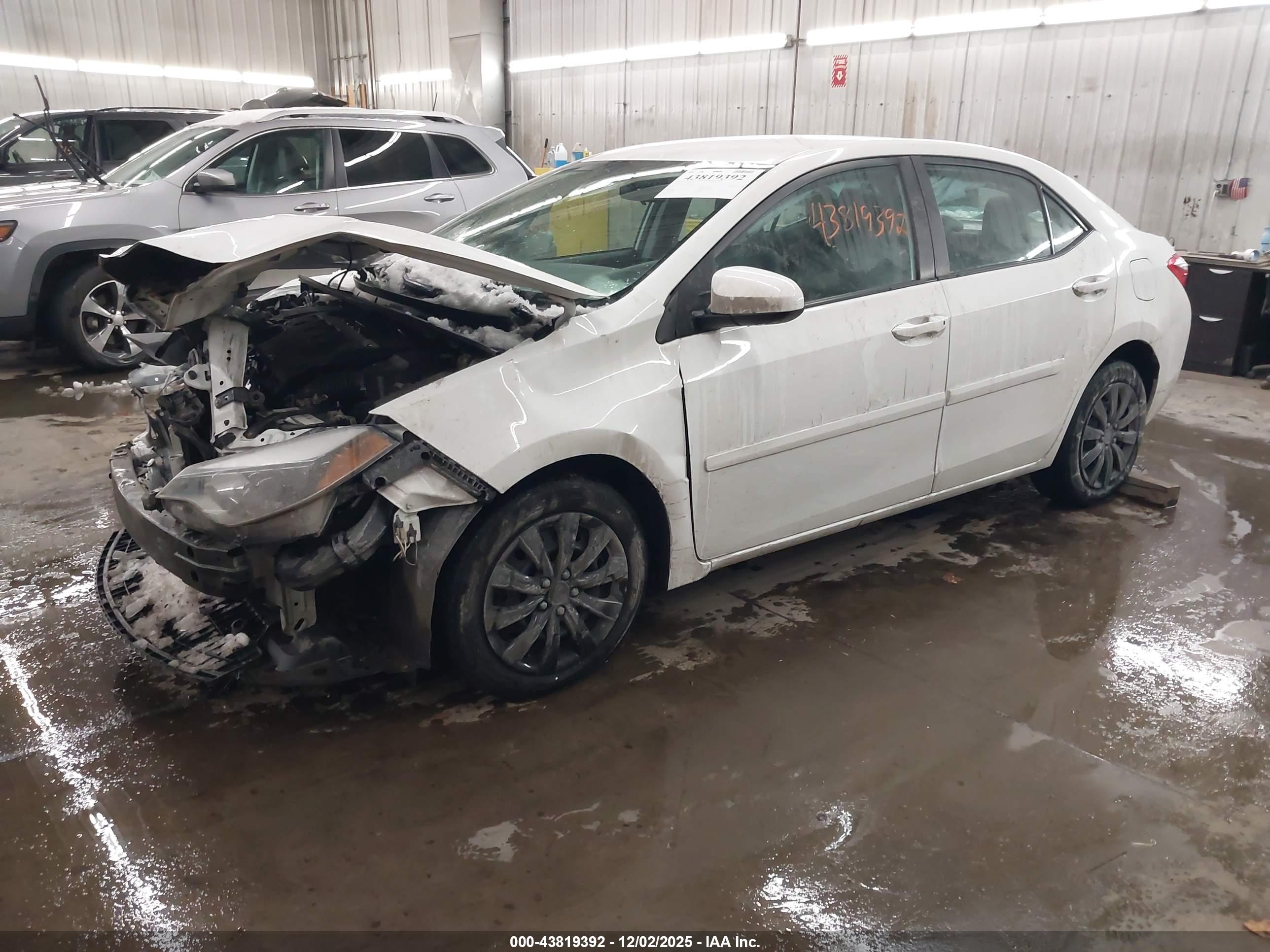 TOYOTA COROLLA image 2