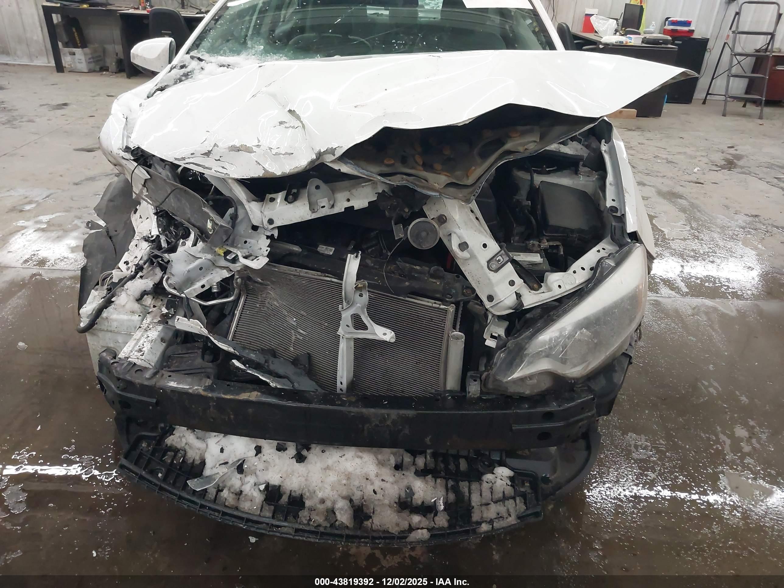TOYOTA COROLLA image 6