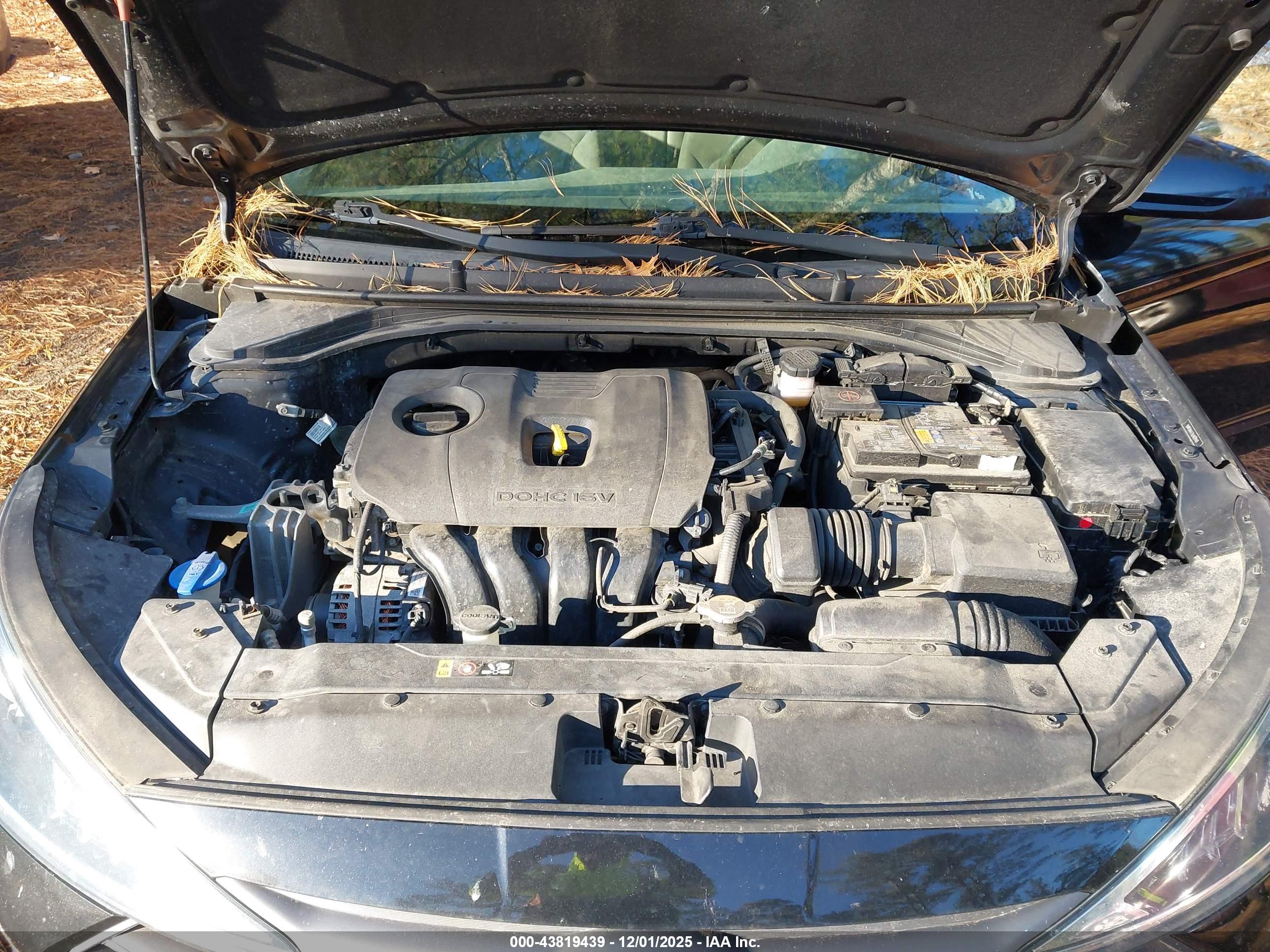 HYUNDAI ELANTRA image 10