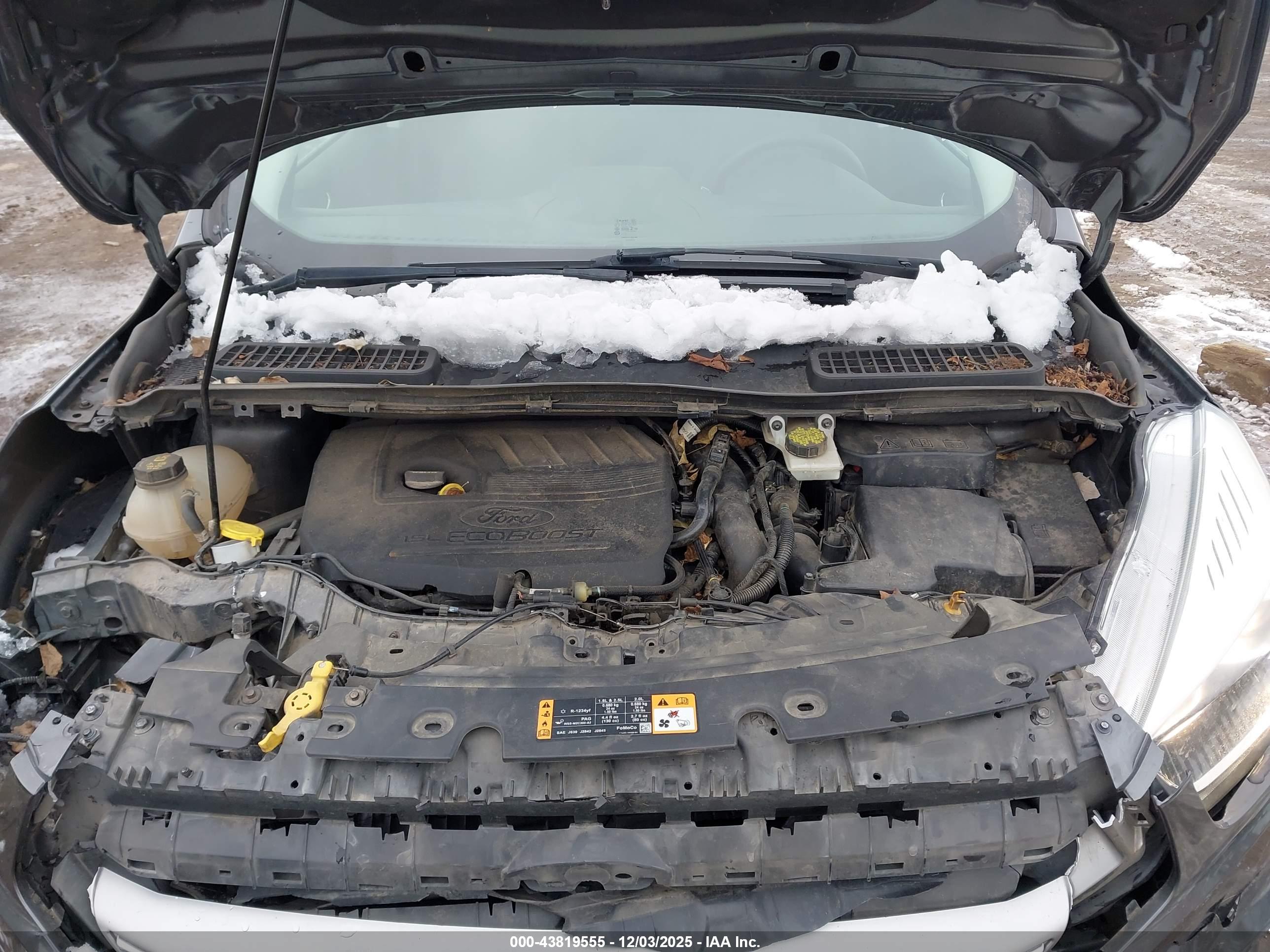 FORD ESCAPE image 10