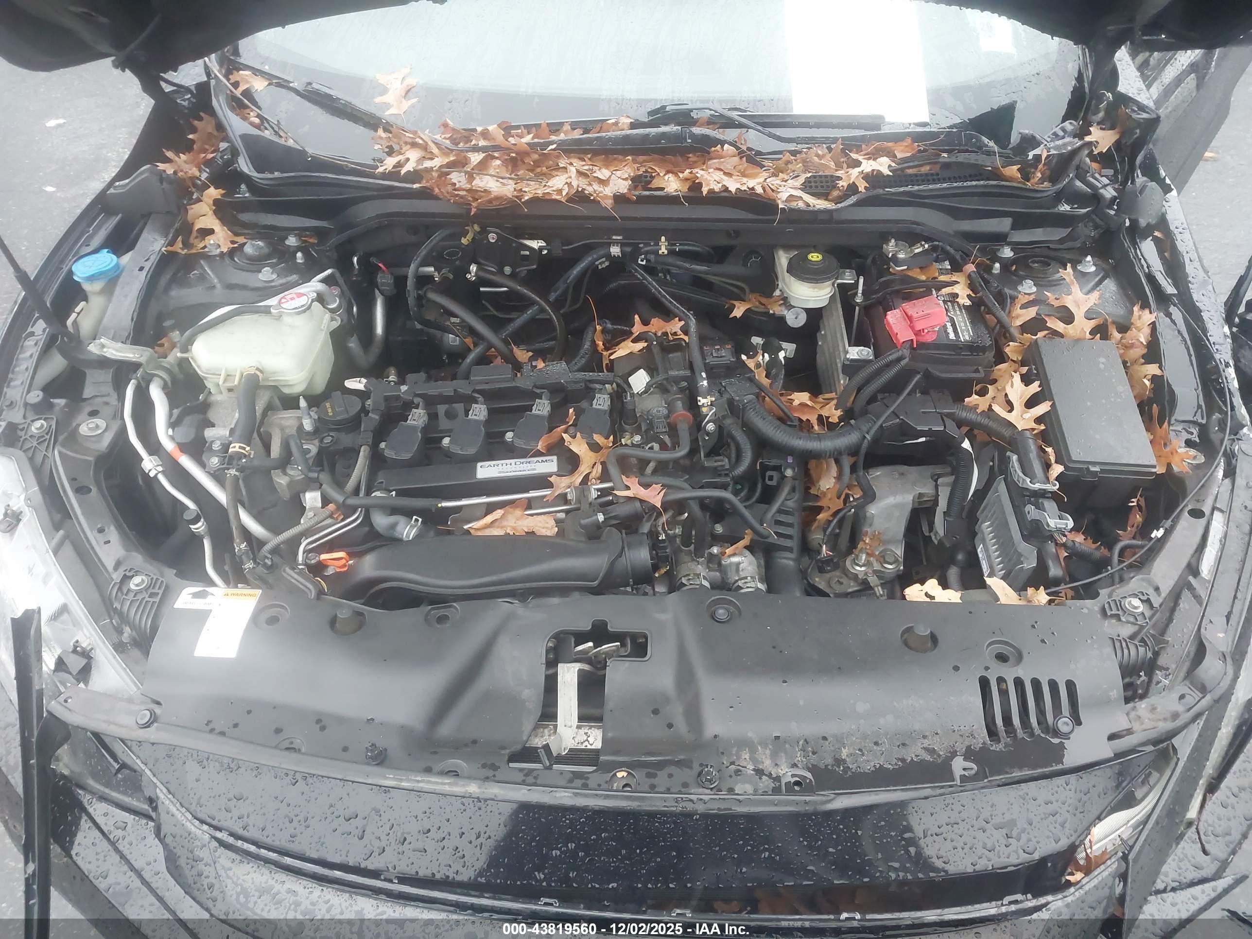 HONDA CIVIC image 10