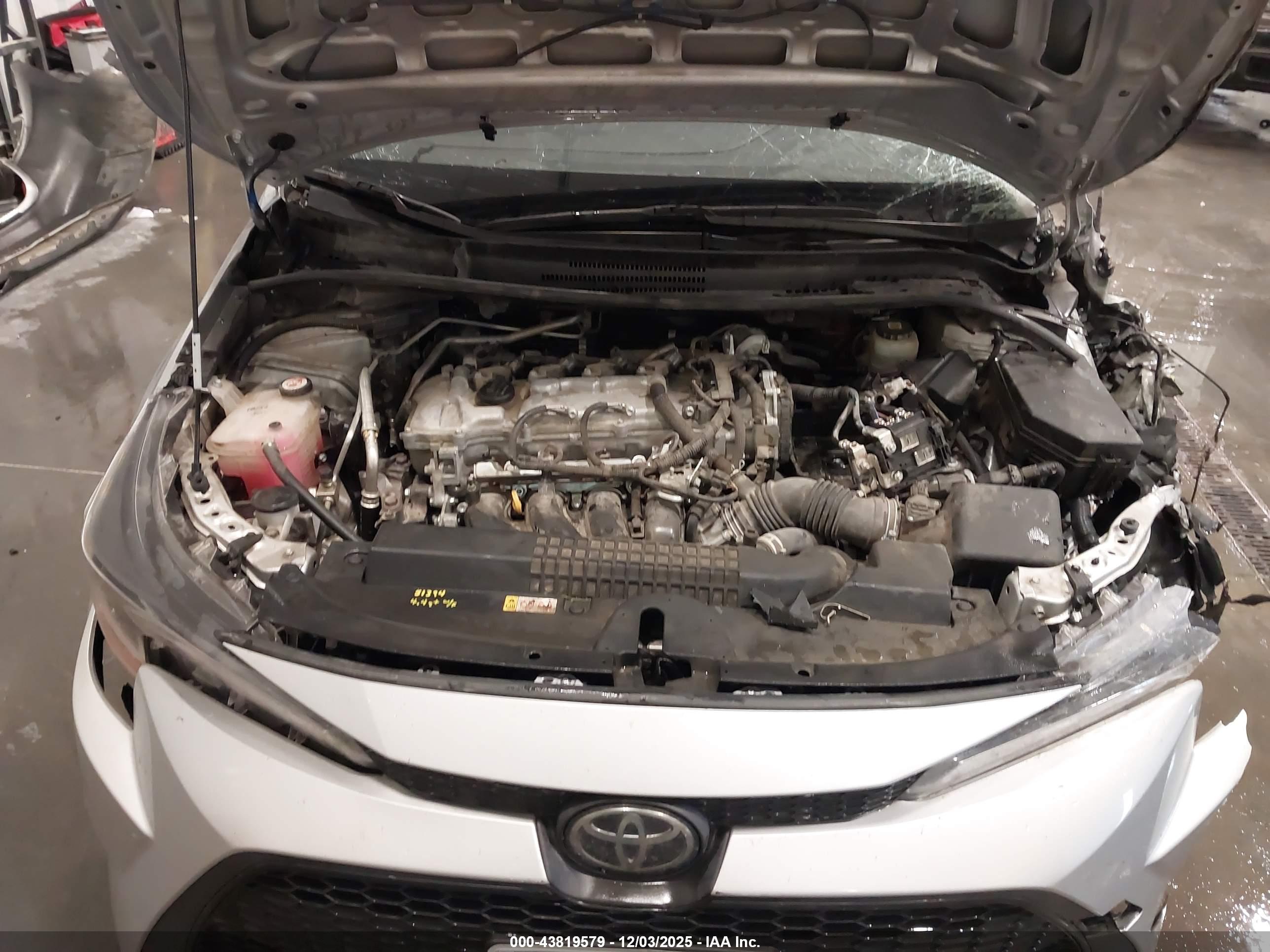 TOYOTA COROLLA image 10
