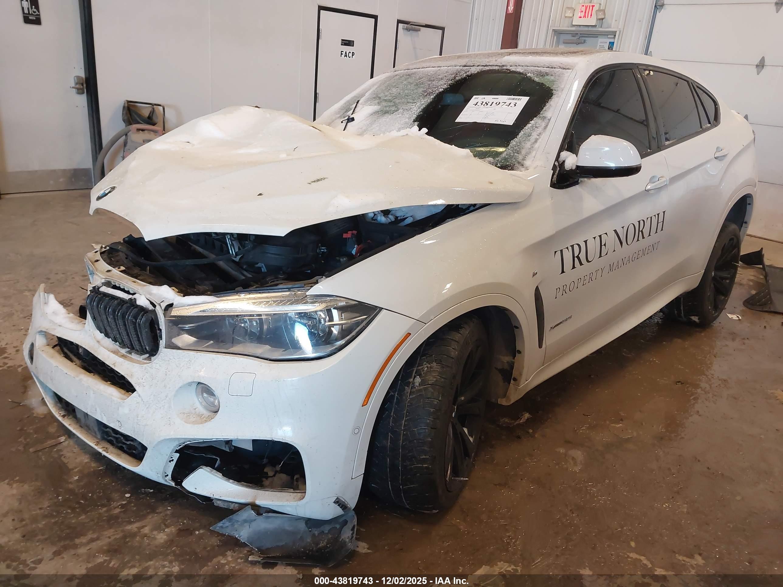 BMW X6 image 2