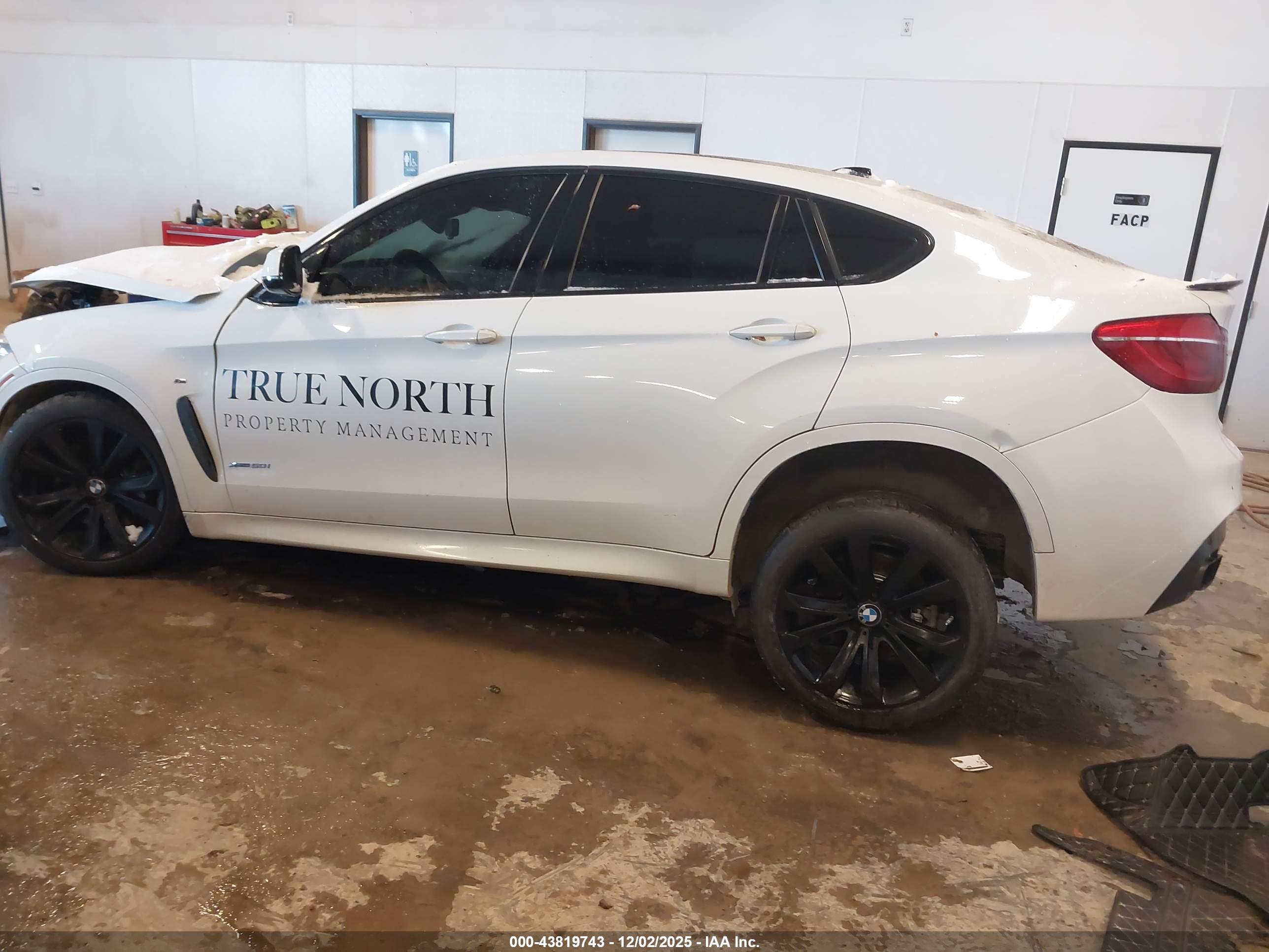 BMW X6 image 3