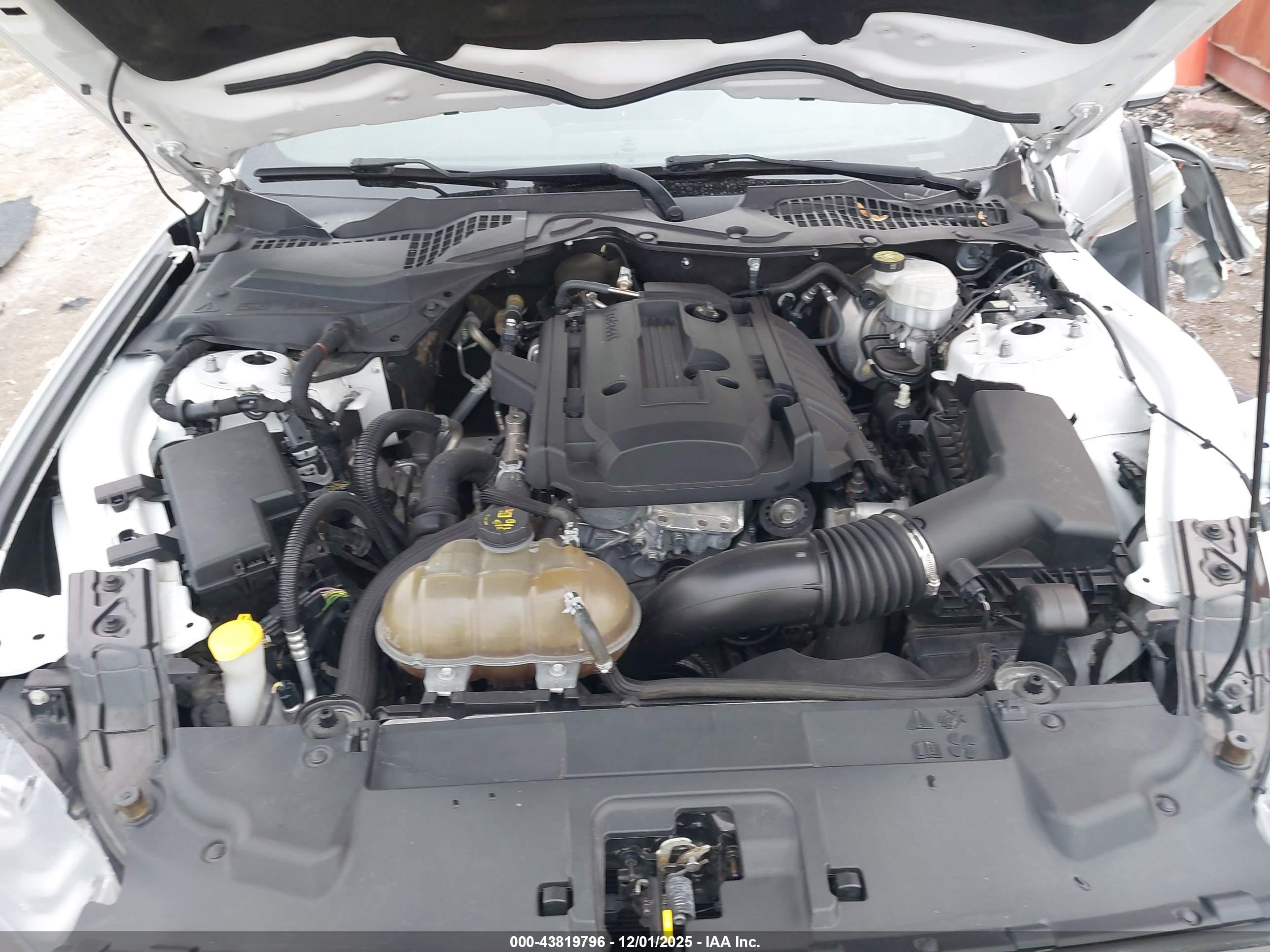 FORD MUSTANG image 10