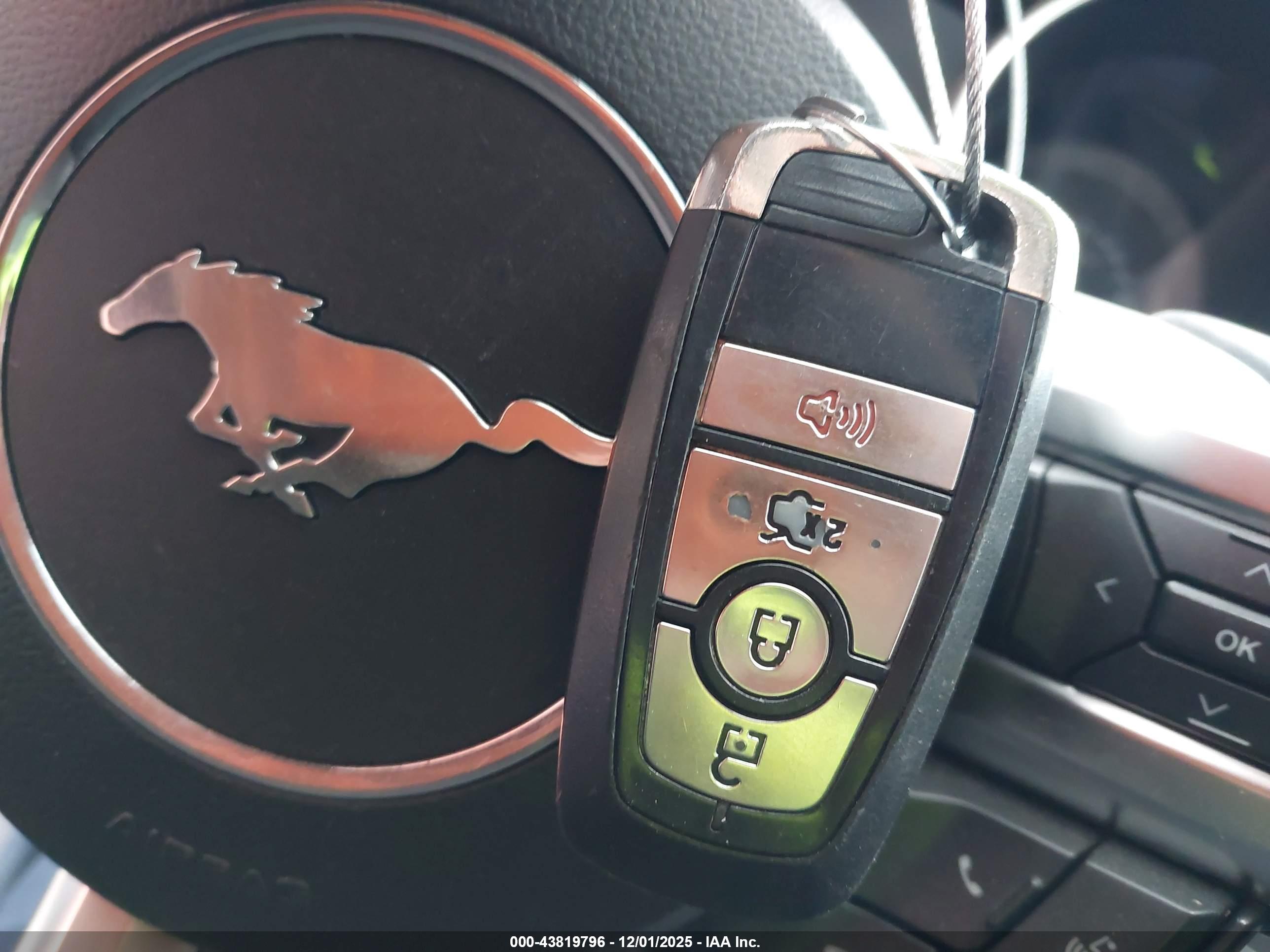 FORD MUSTANG image 11