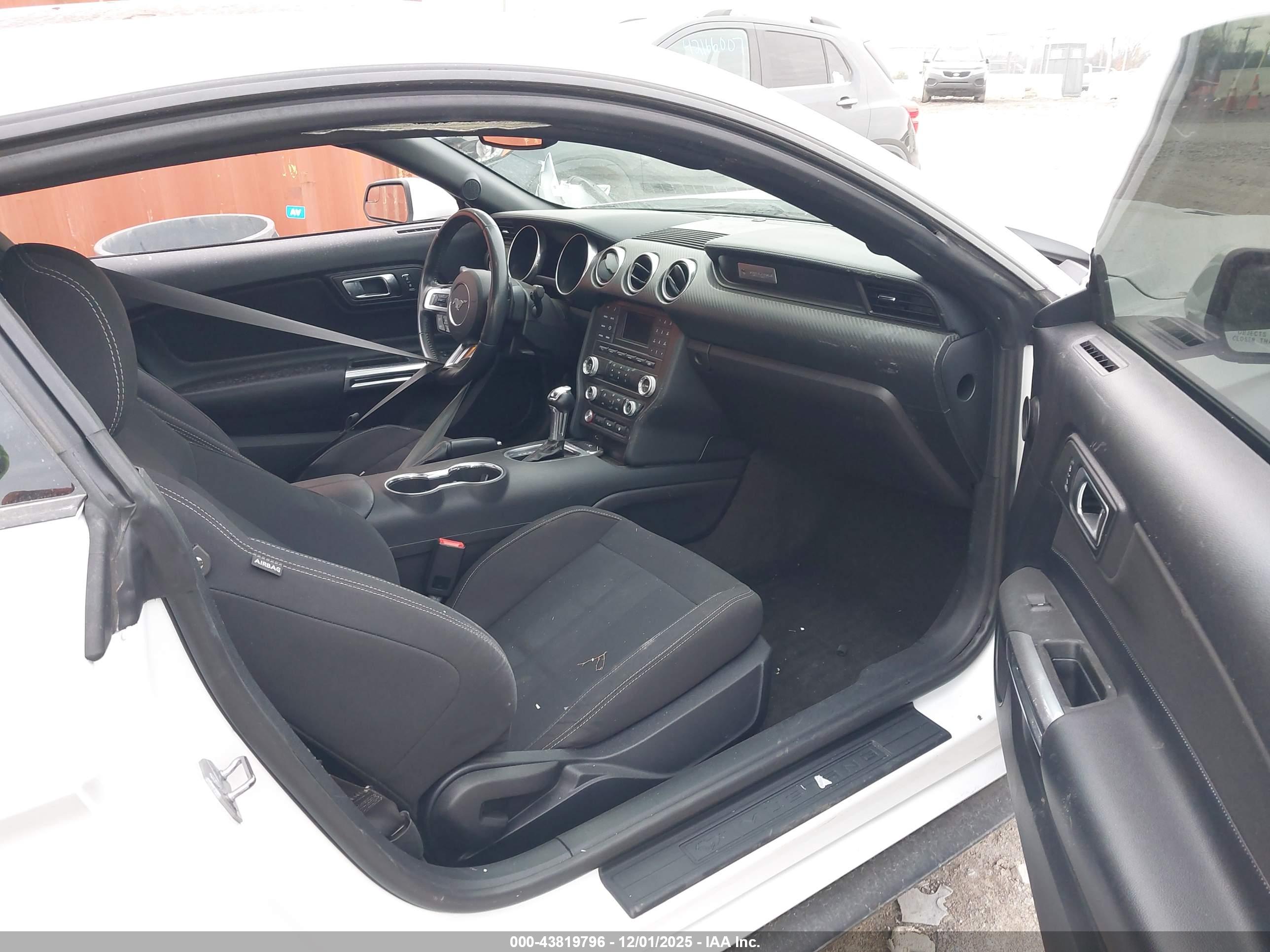 FORD MUSTANG image 5
