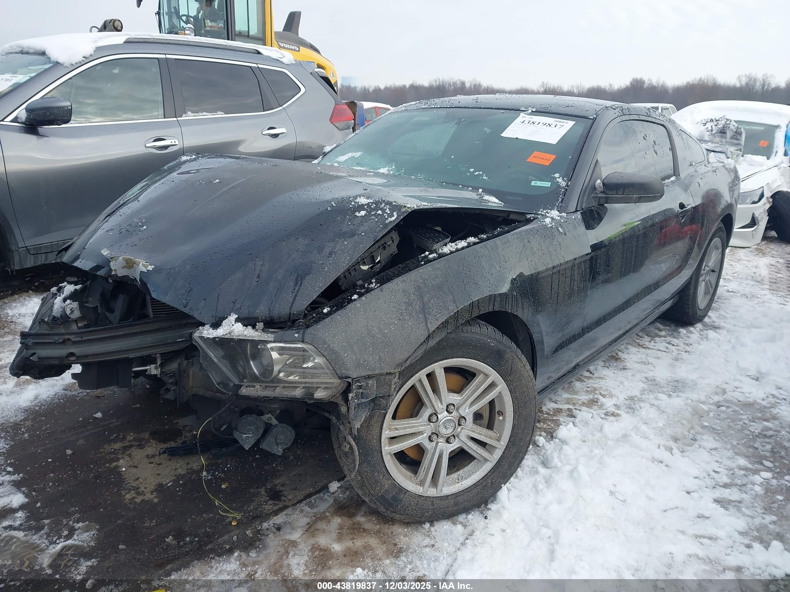 FORD MUSTANG image 2