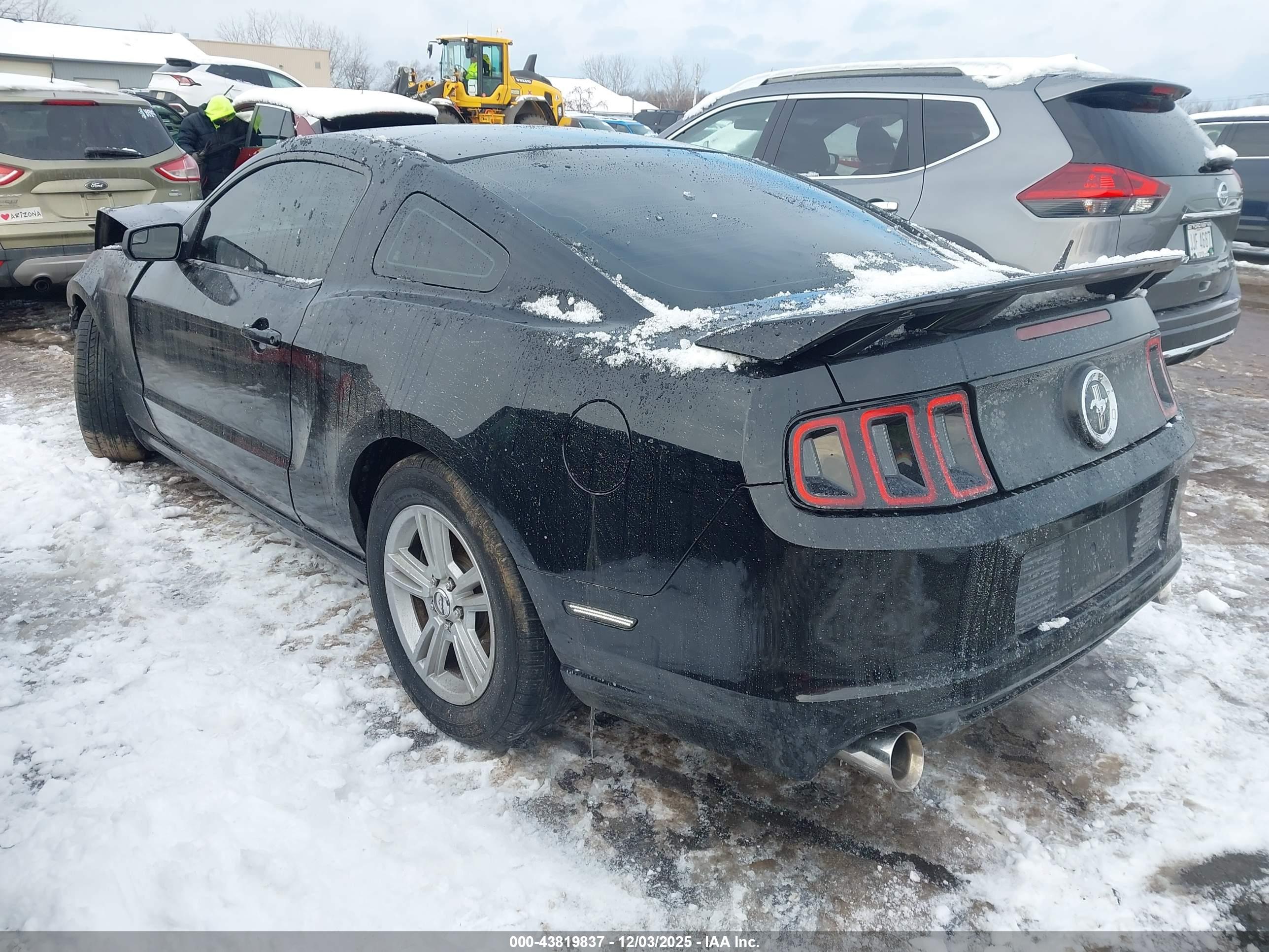 FORD MUSTANG image 3