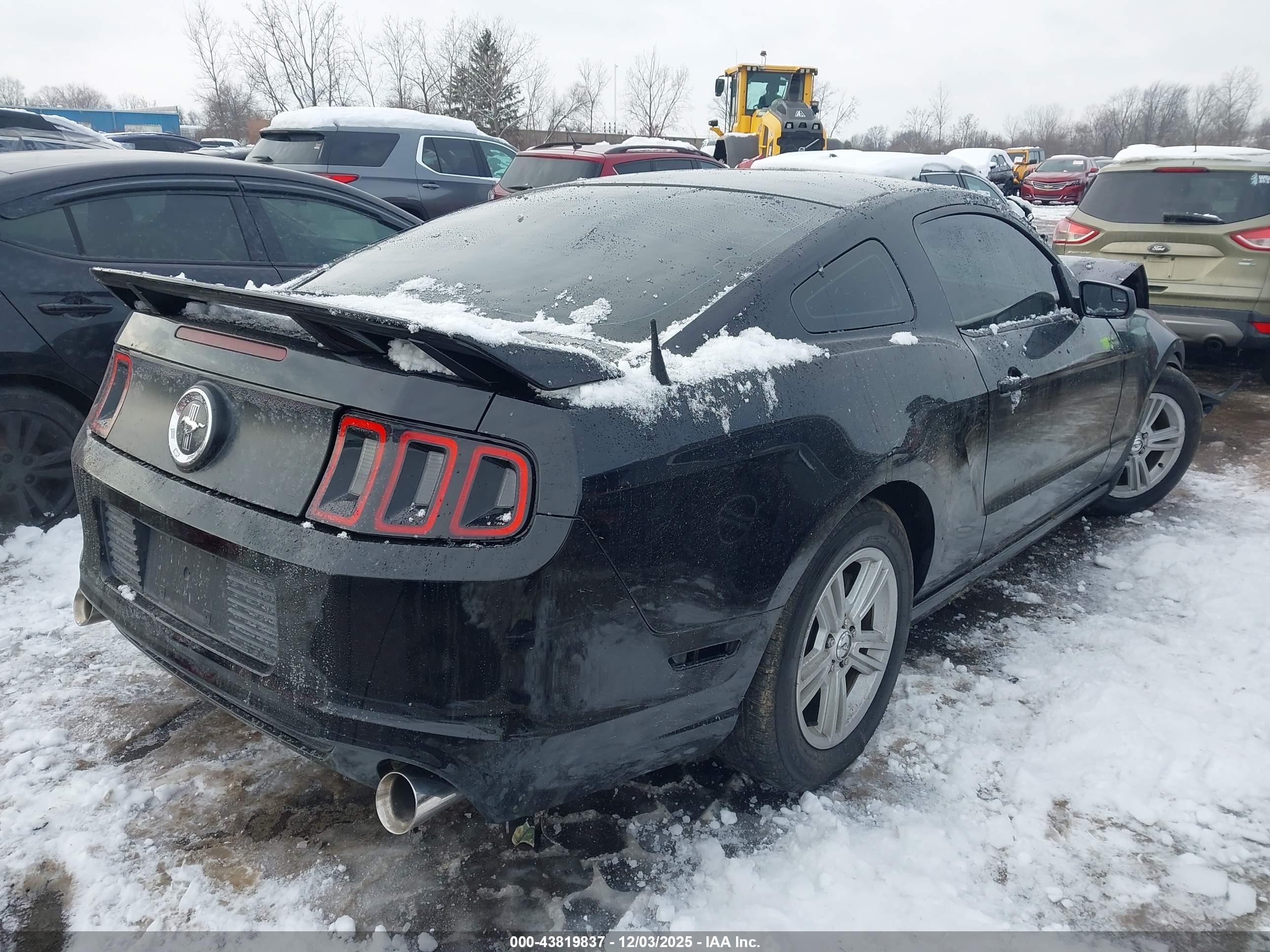 FORD MUSTANG image 4