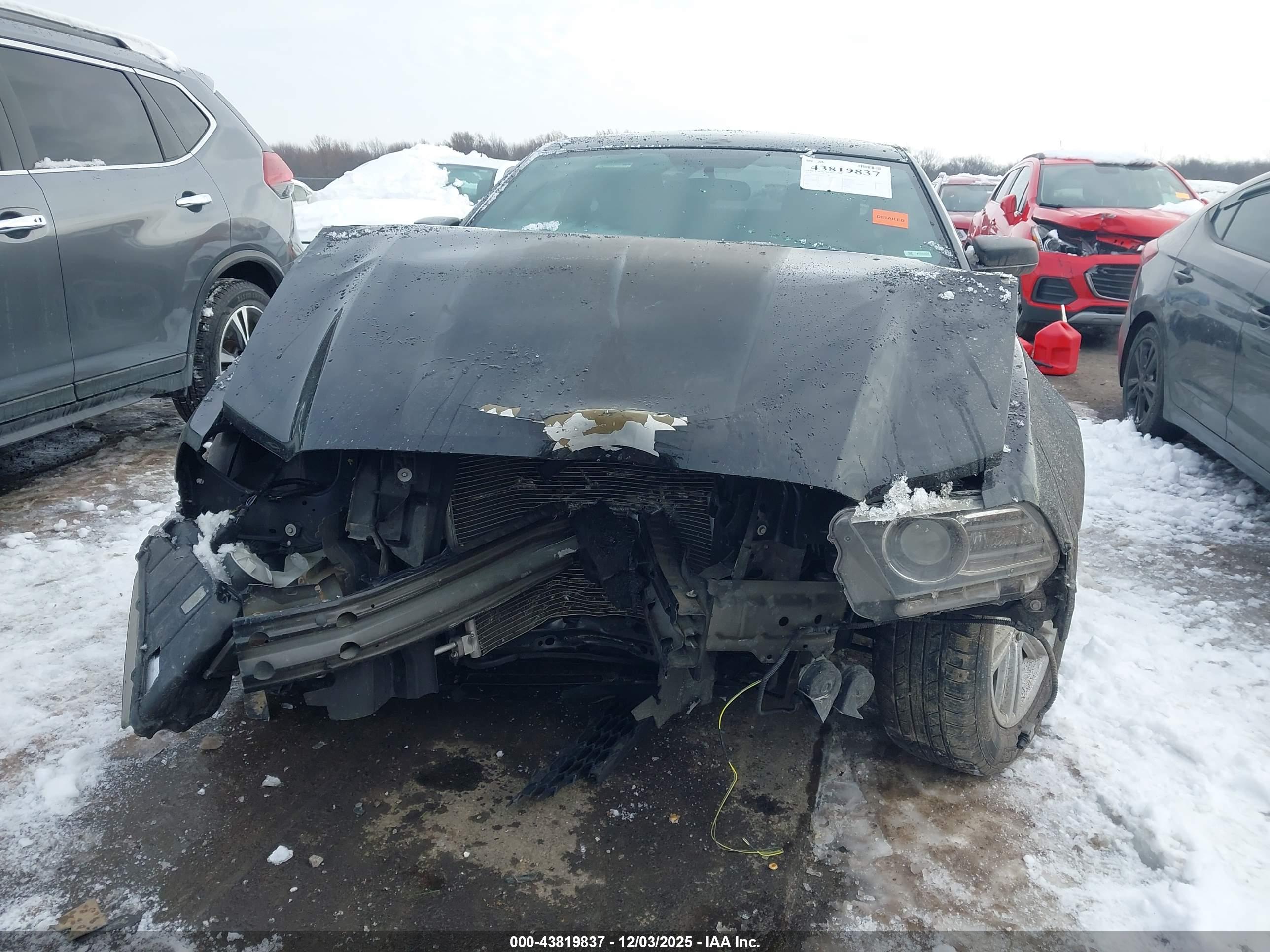 FORD MUSTANG image 6