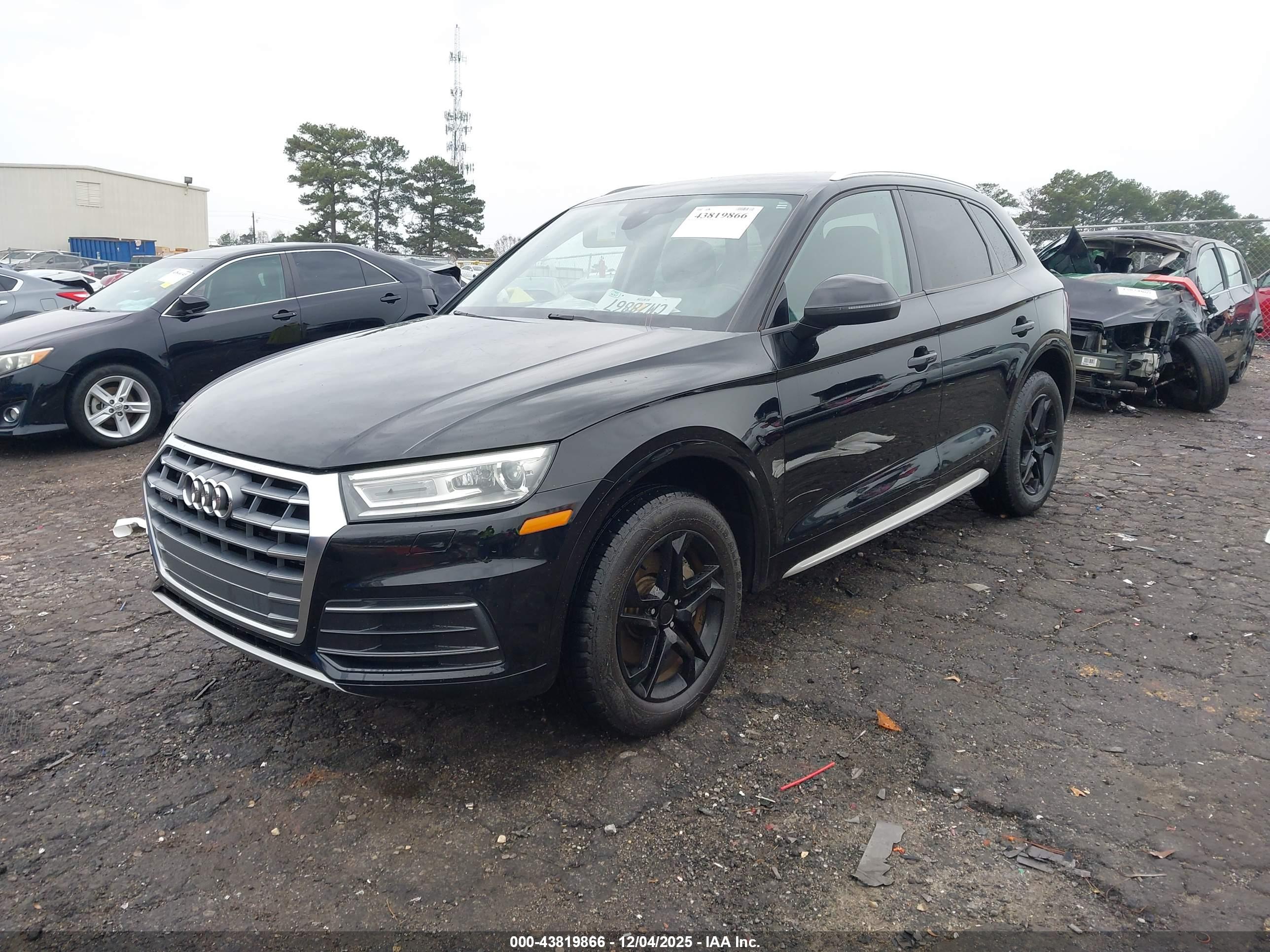 AUDI Q5 image 2