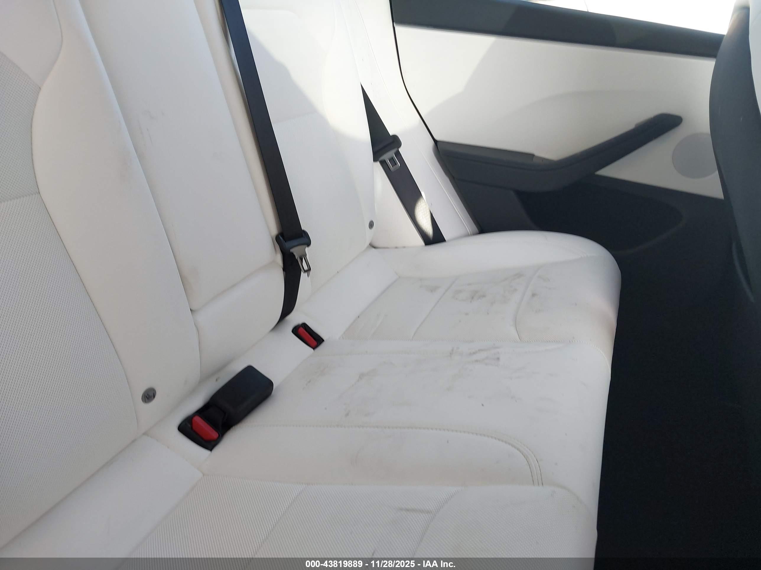 TESLA MODEL image 8