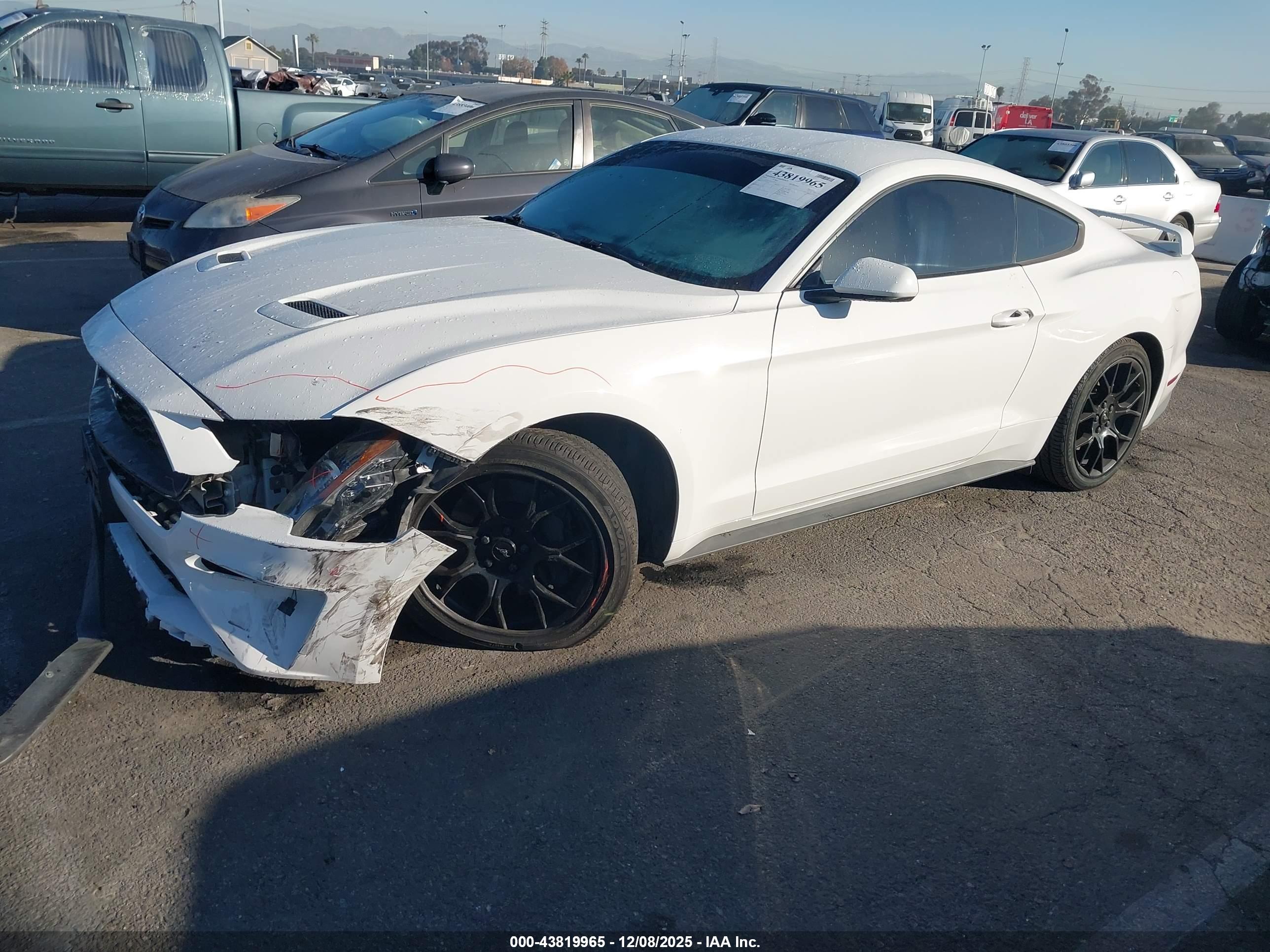 FORD MUSTANG image 2