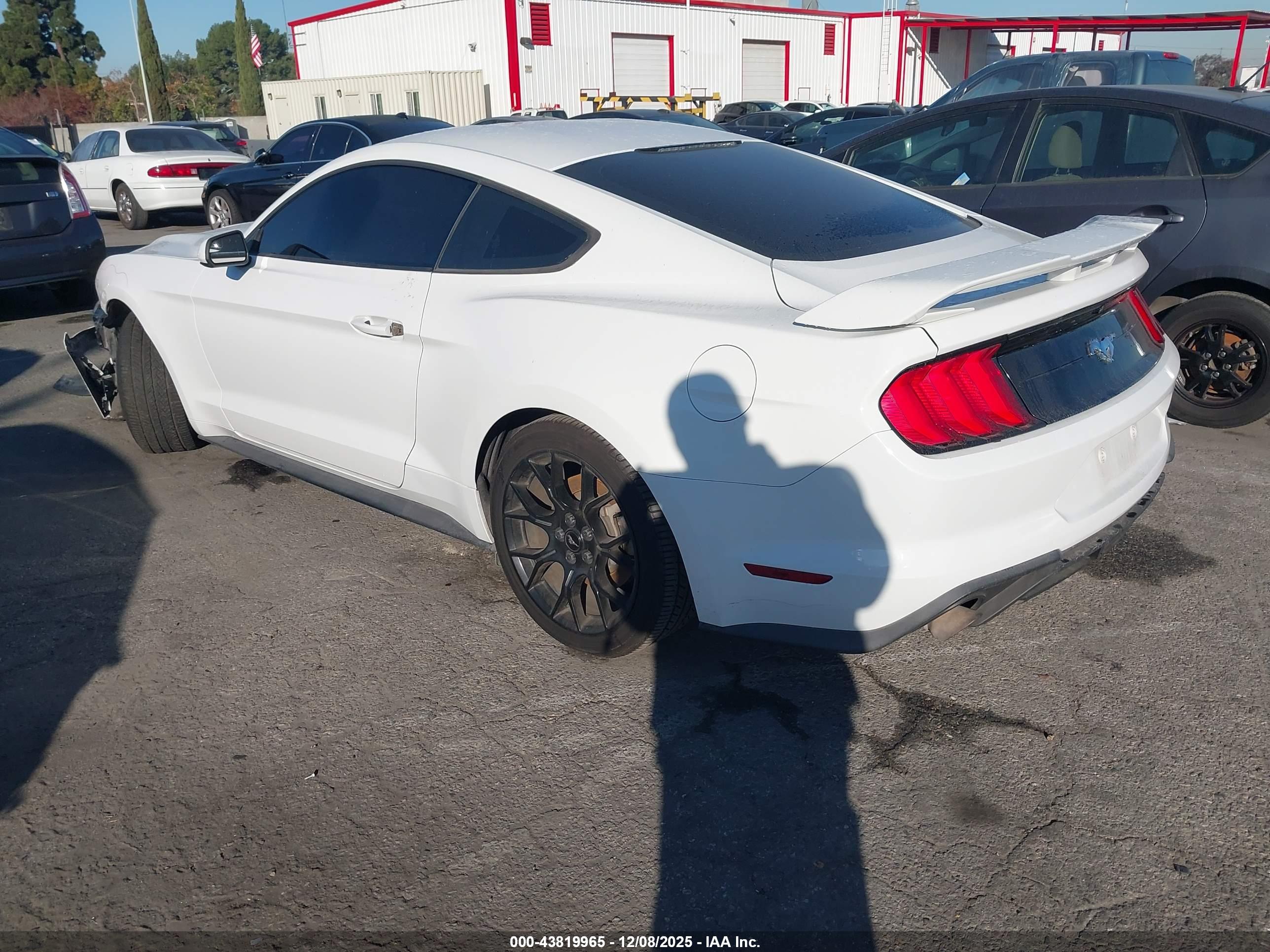 FORD MUSTANG image 3