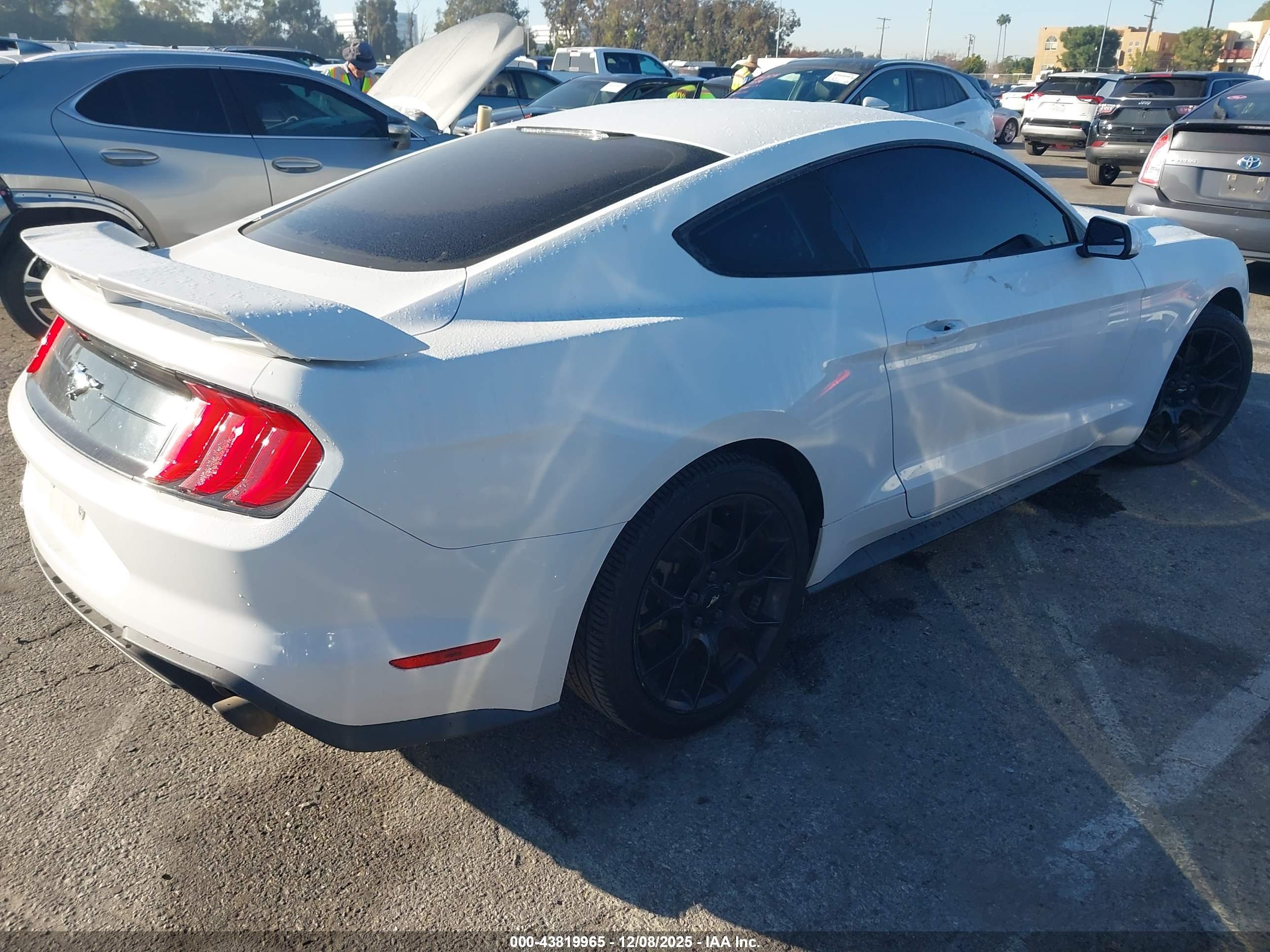 FORD MUSTANG image 4
