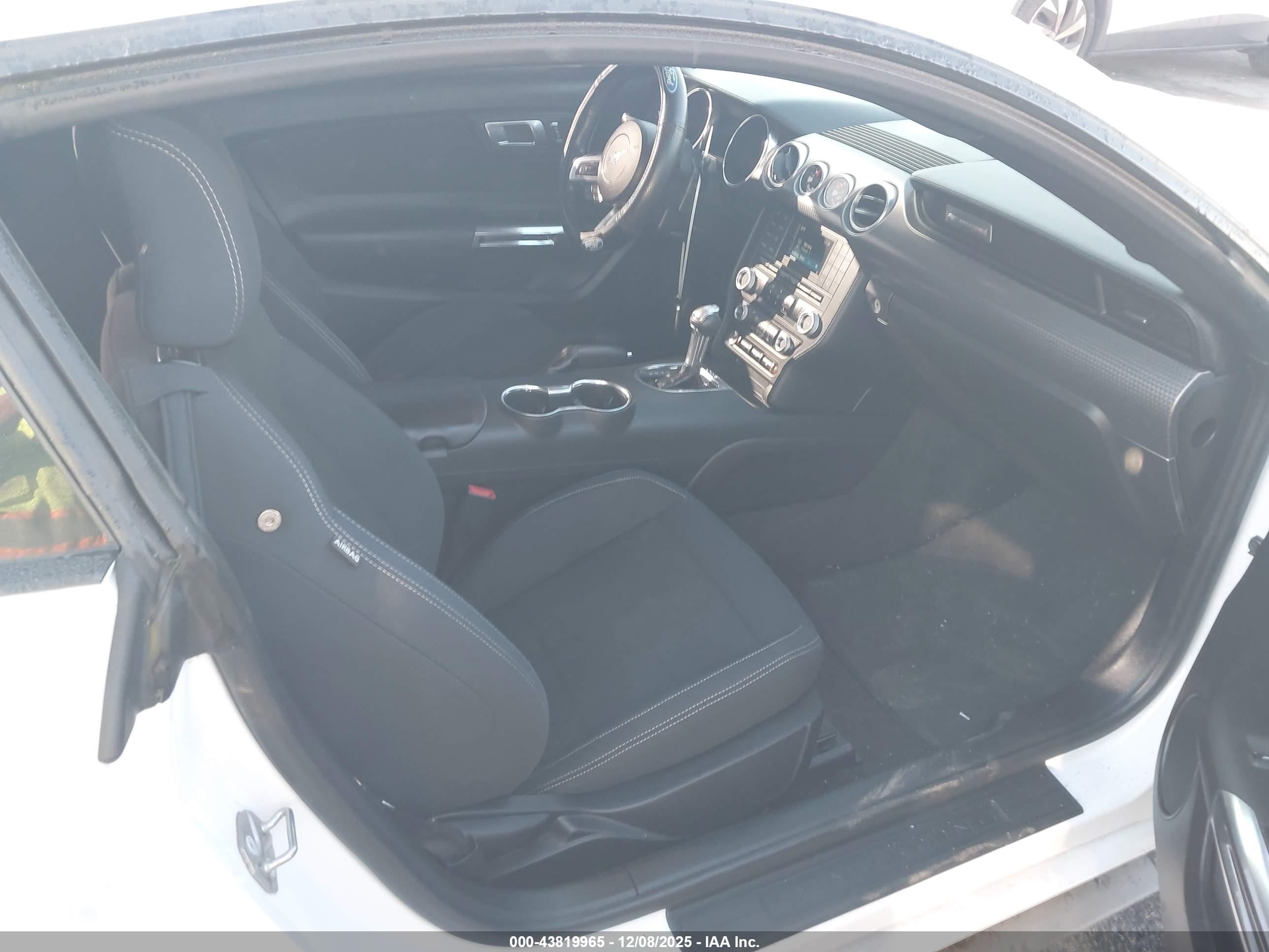 FORD MUSTANG image 5