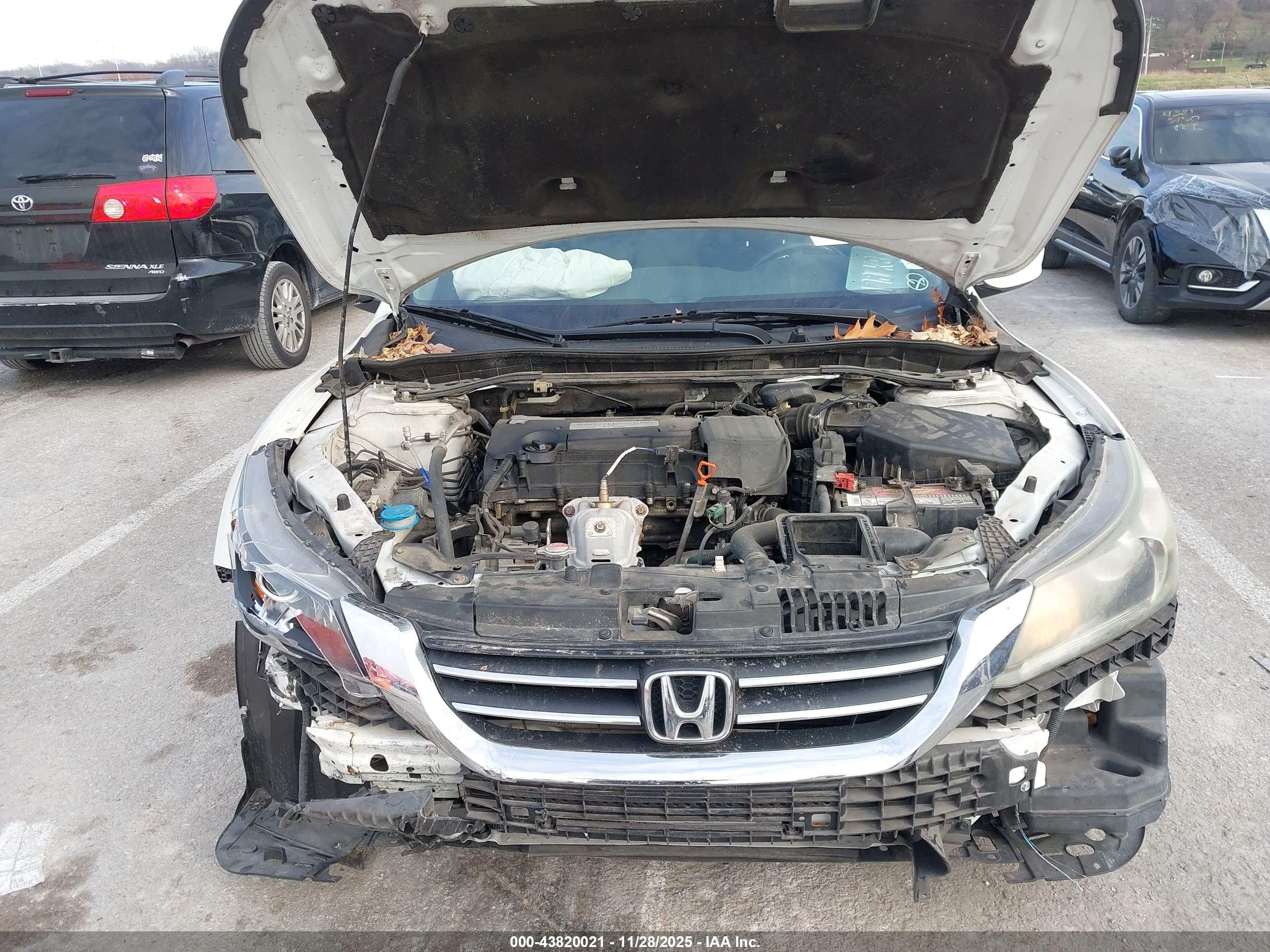 HONDA ACCORD image 10