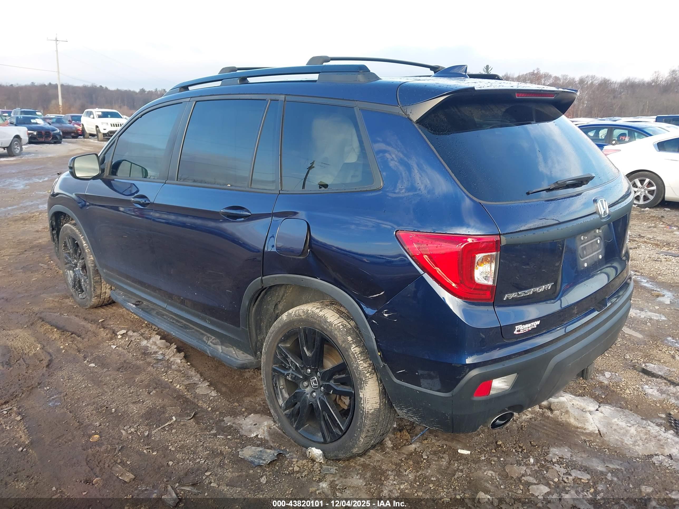 HONDA PASSPORT image 3
