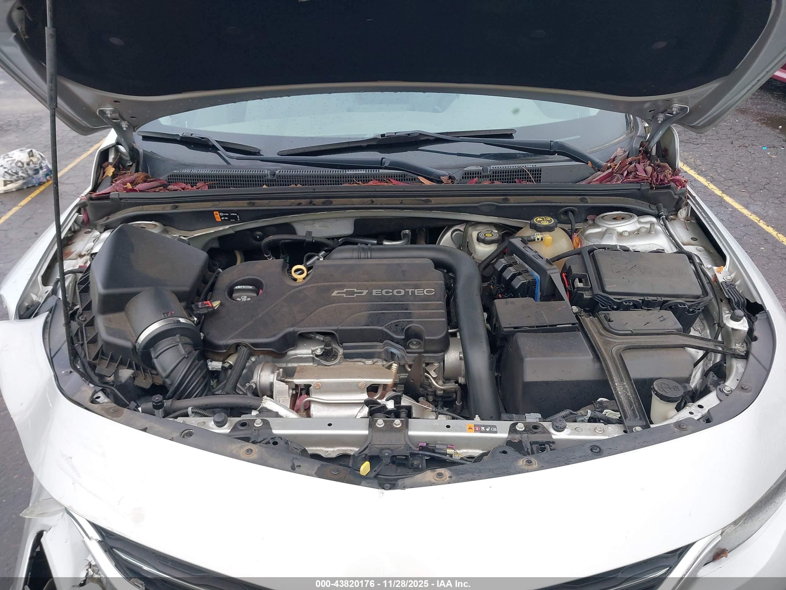 CHEVROLET MALIBU image 10