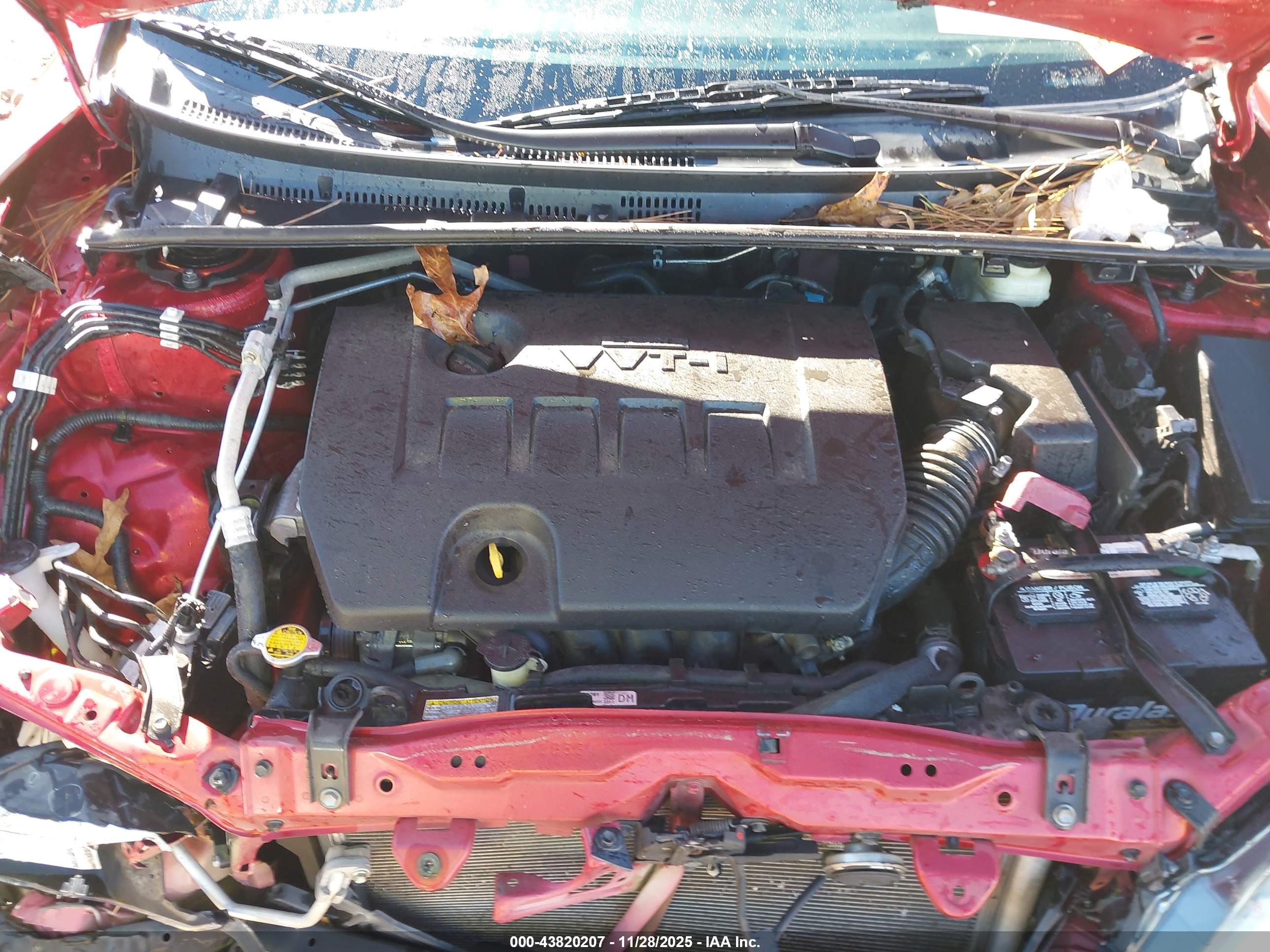 TOYOTA COROLLA image 10
