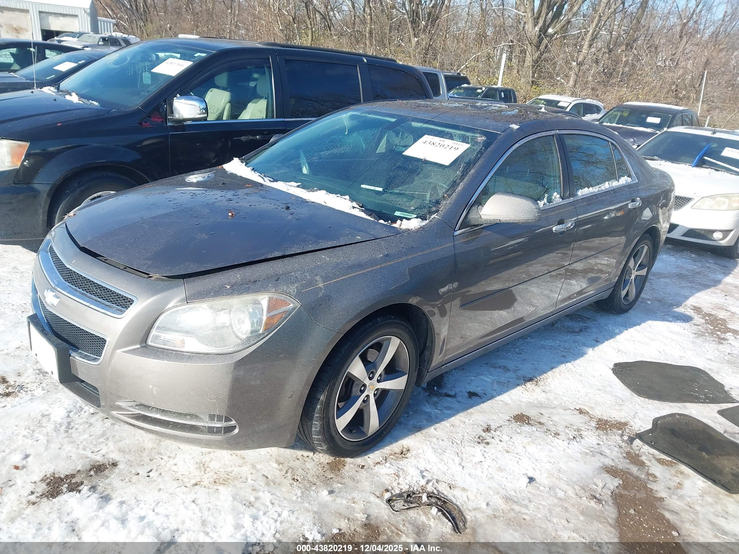 CHEVROLET MALIBU image 2