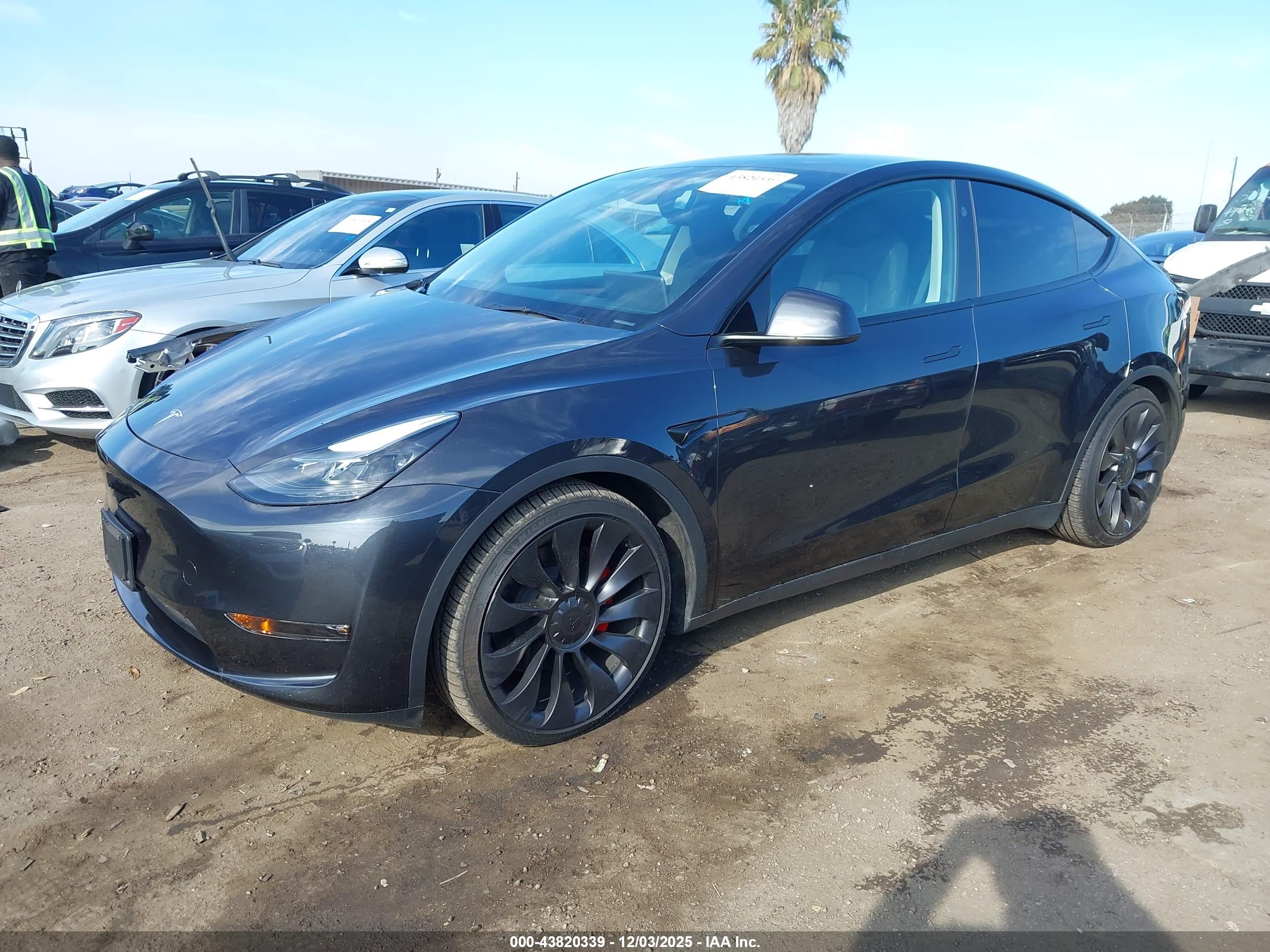 TESLA MODEL image 2