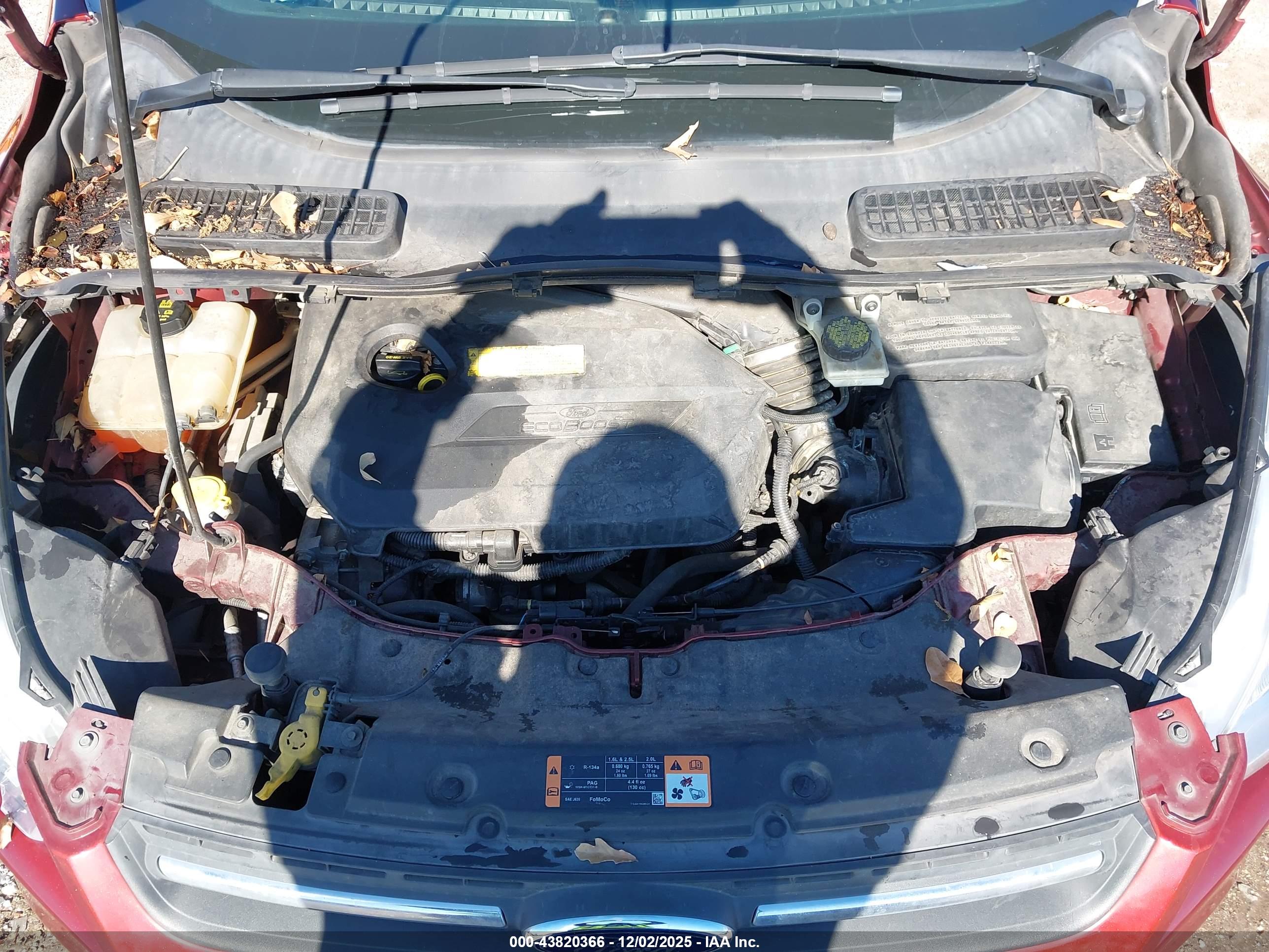 FORD ESCAPE image 10