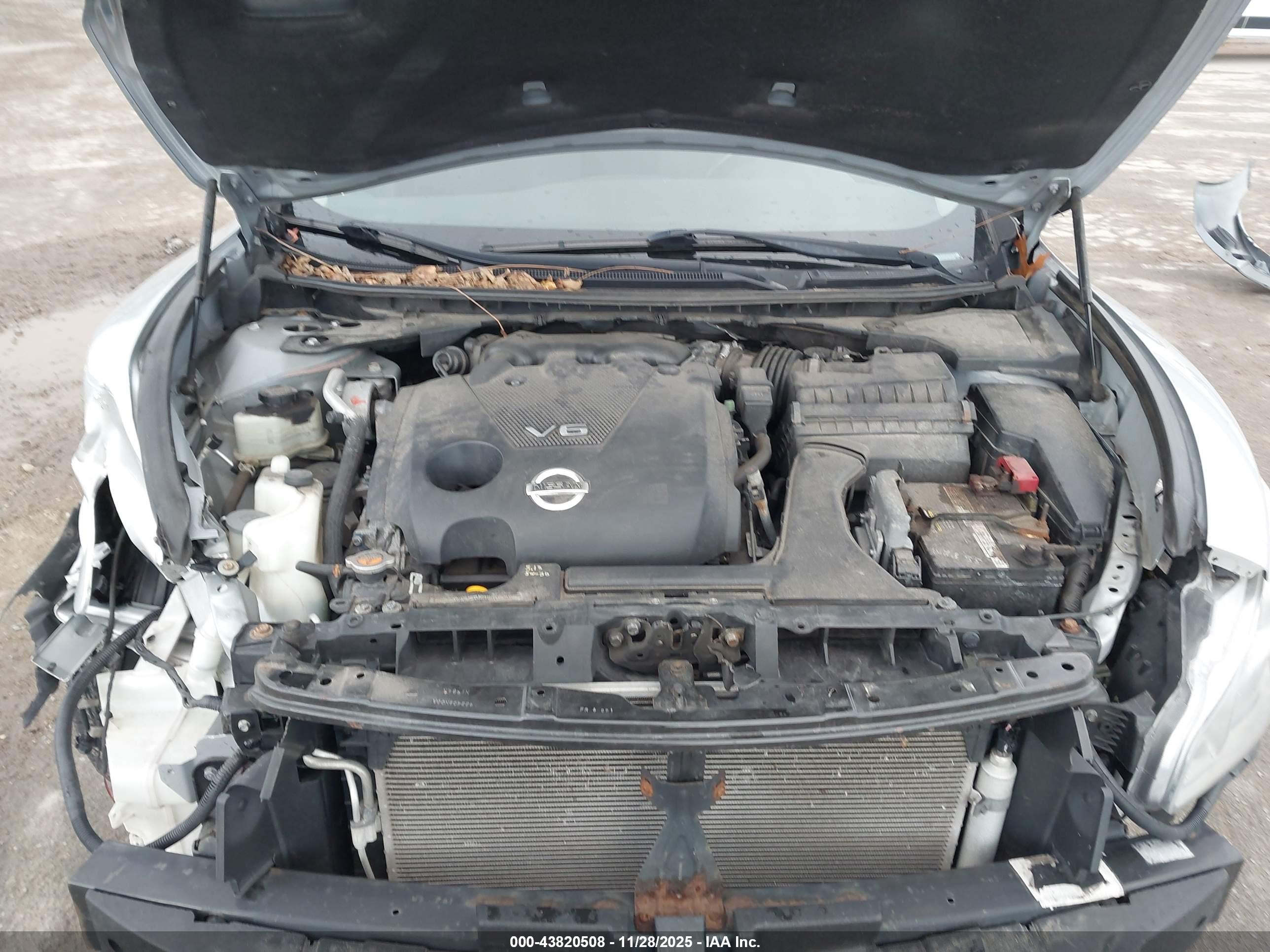 NISSAN MAXIMA image 10