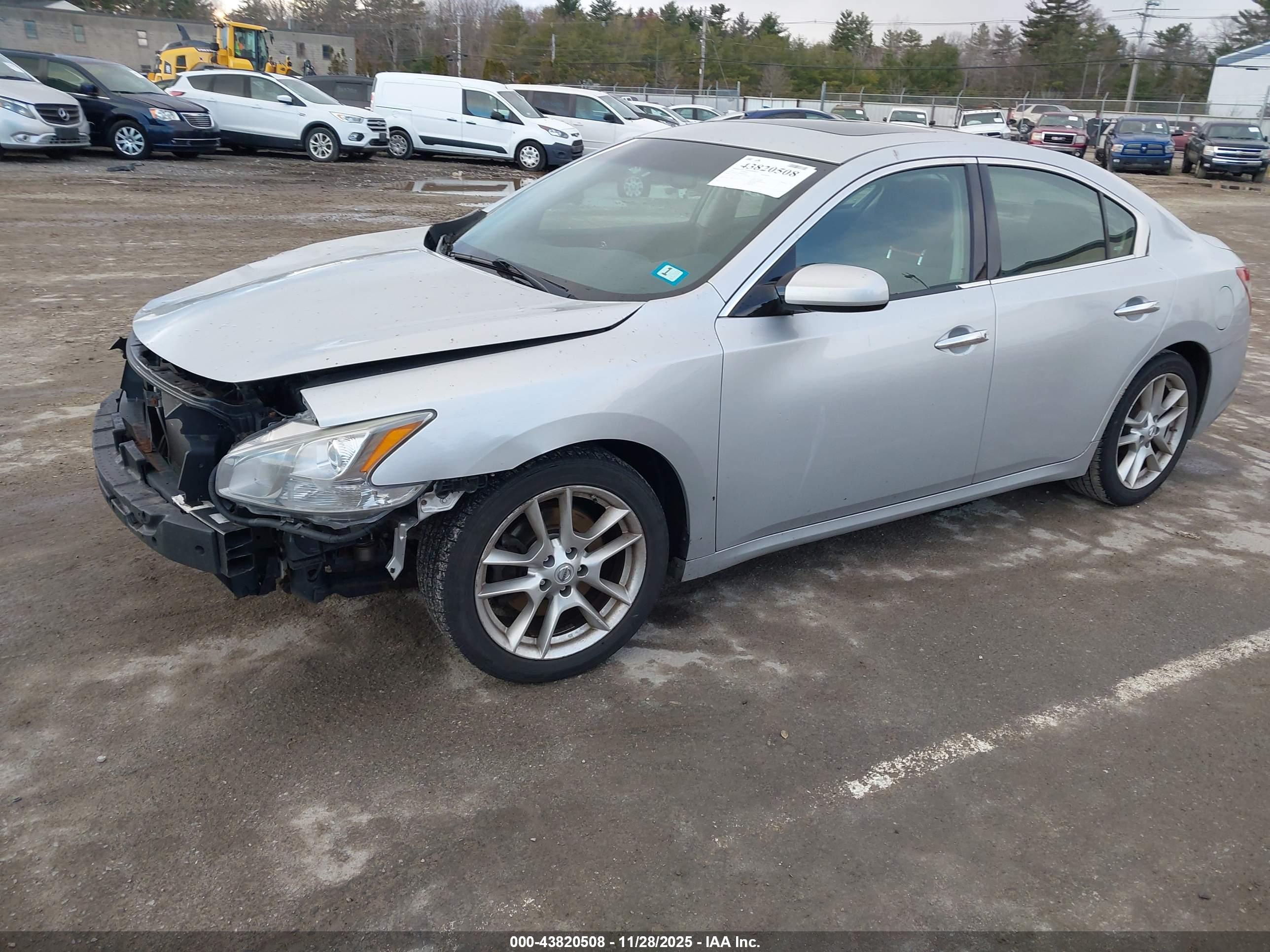 NISSAN MAXIMA image 2