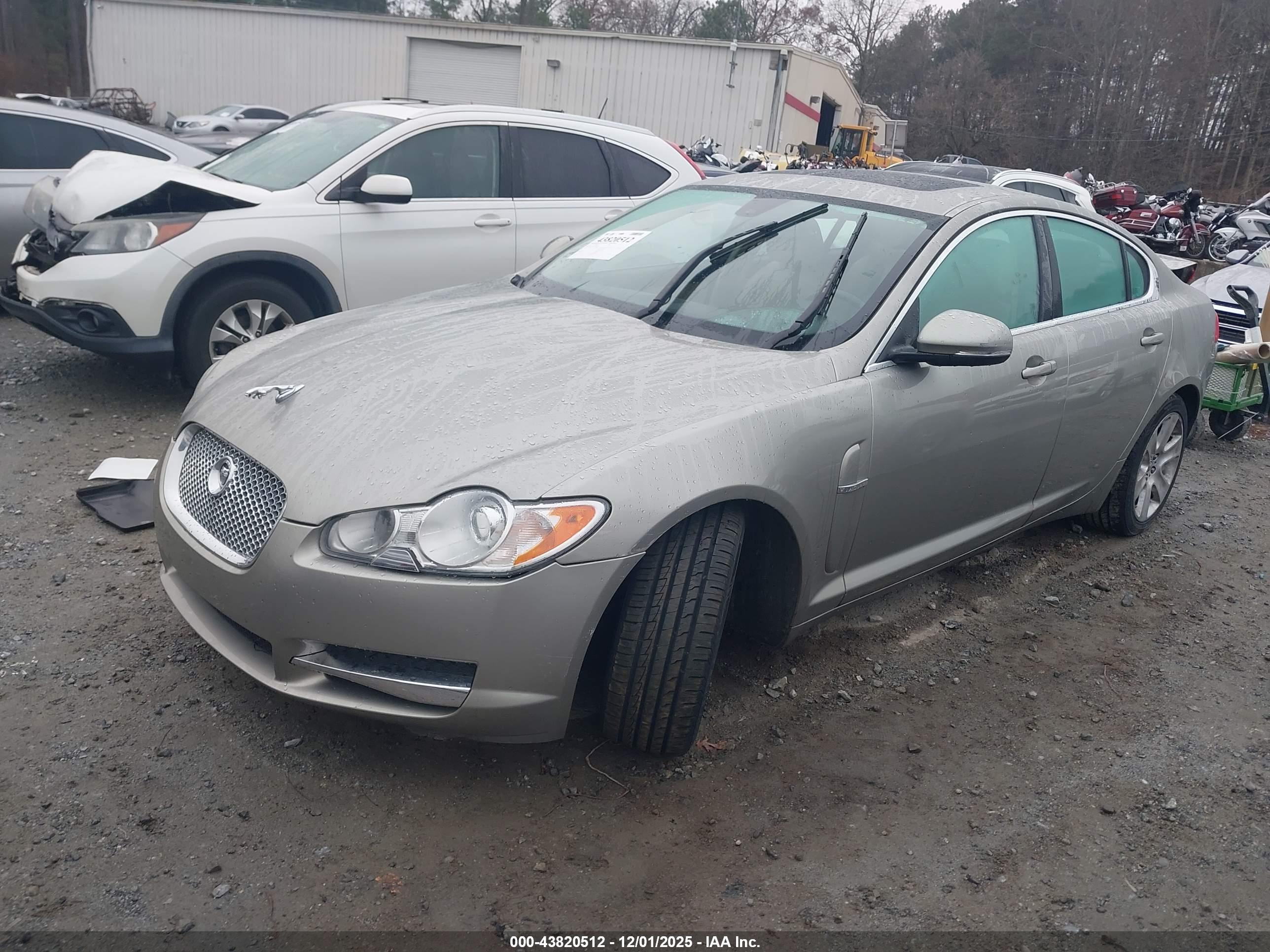 JAGUAR XF image 2