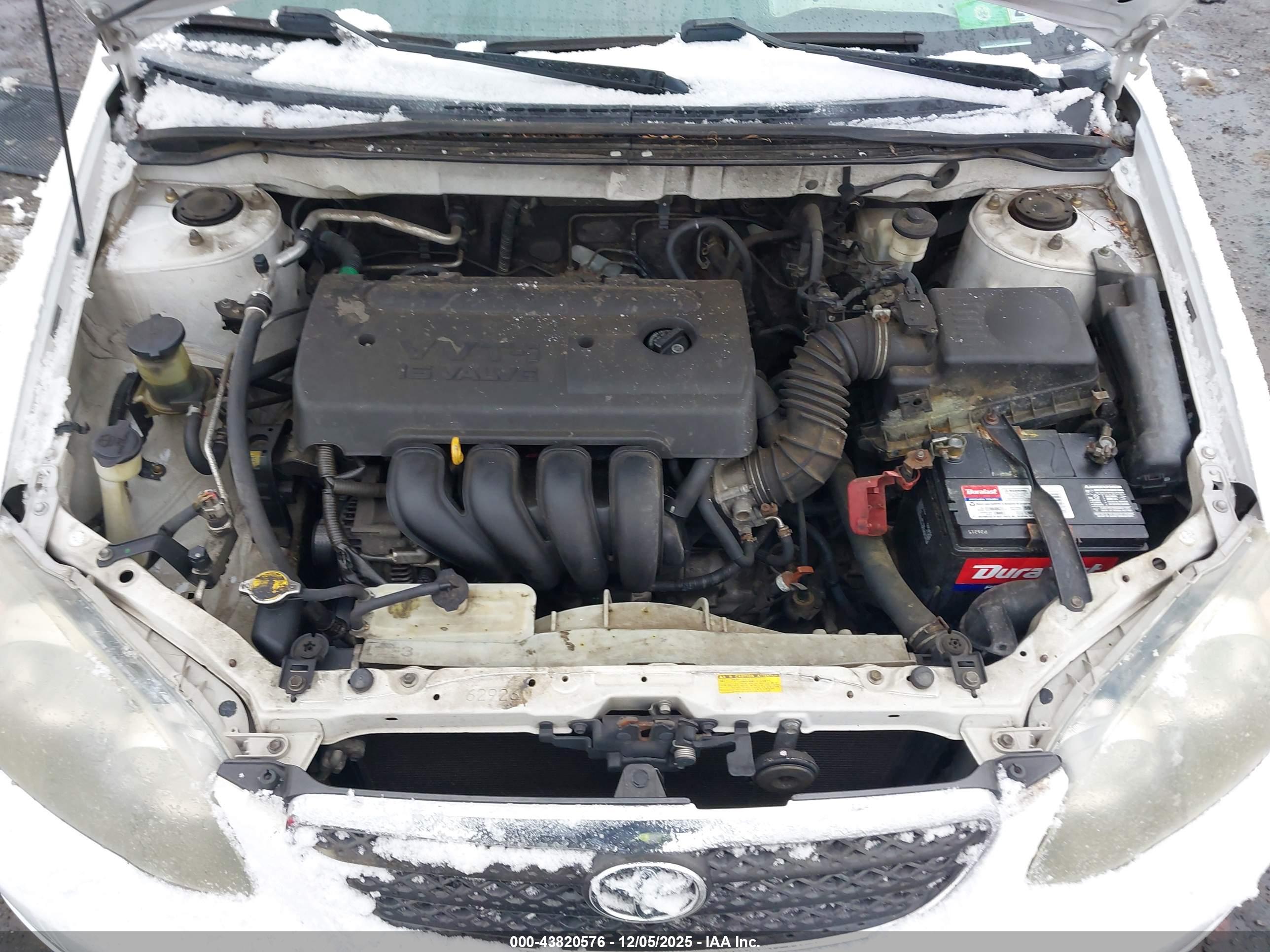TOYOTA COROLLA image 10