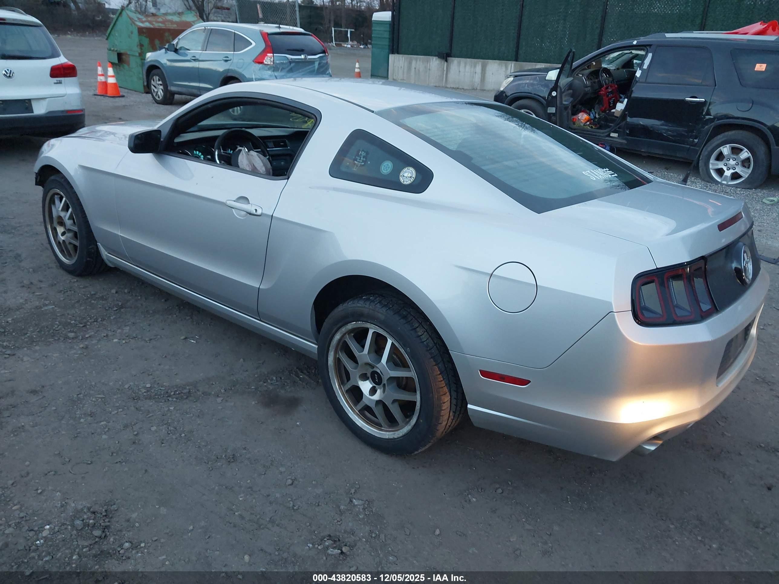 FORD MUSTANG image 3