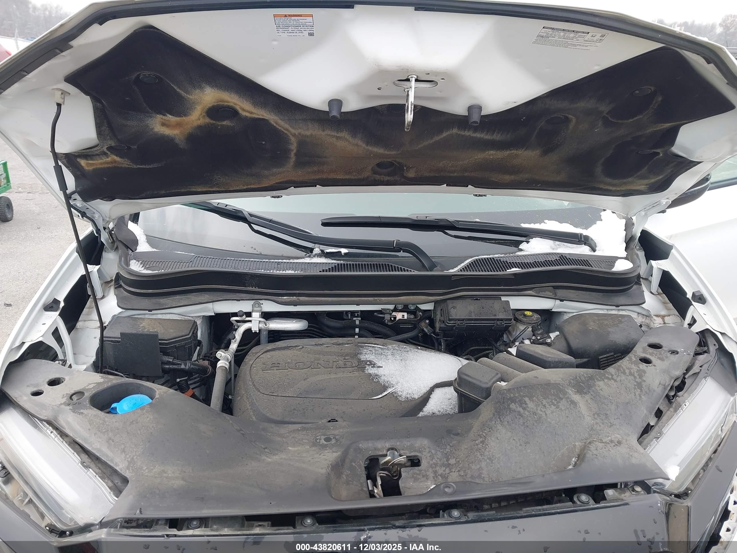 HONDA PASSPORT image 10