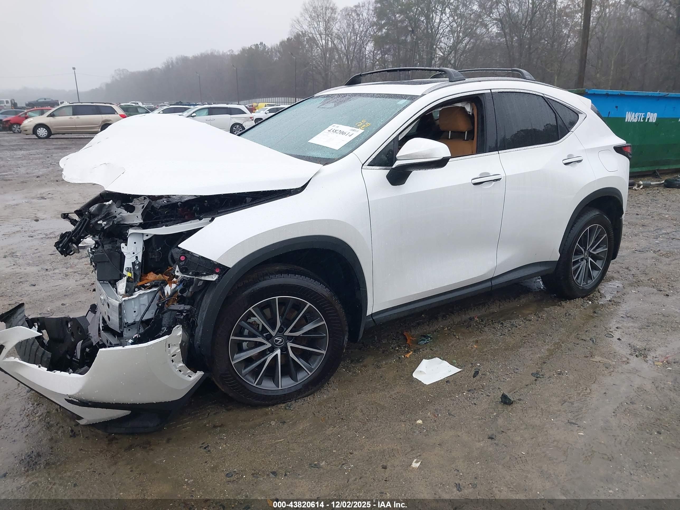 LEXUS NX image 2