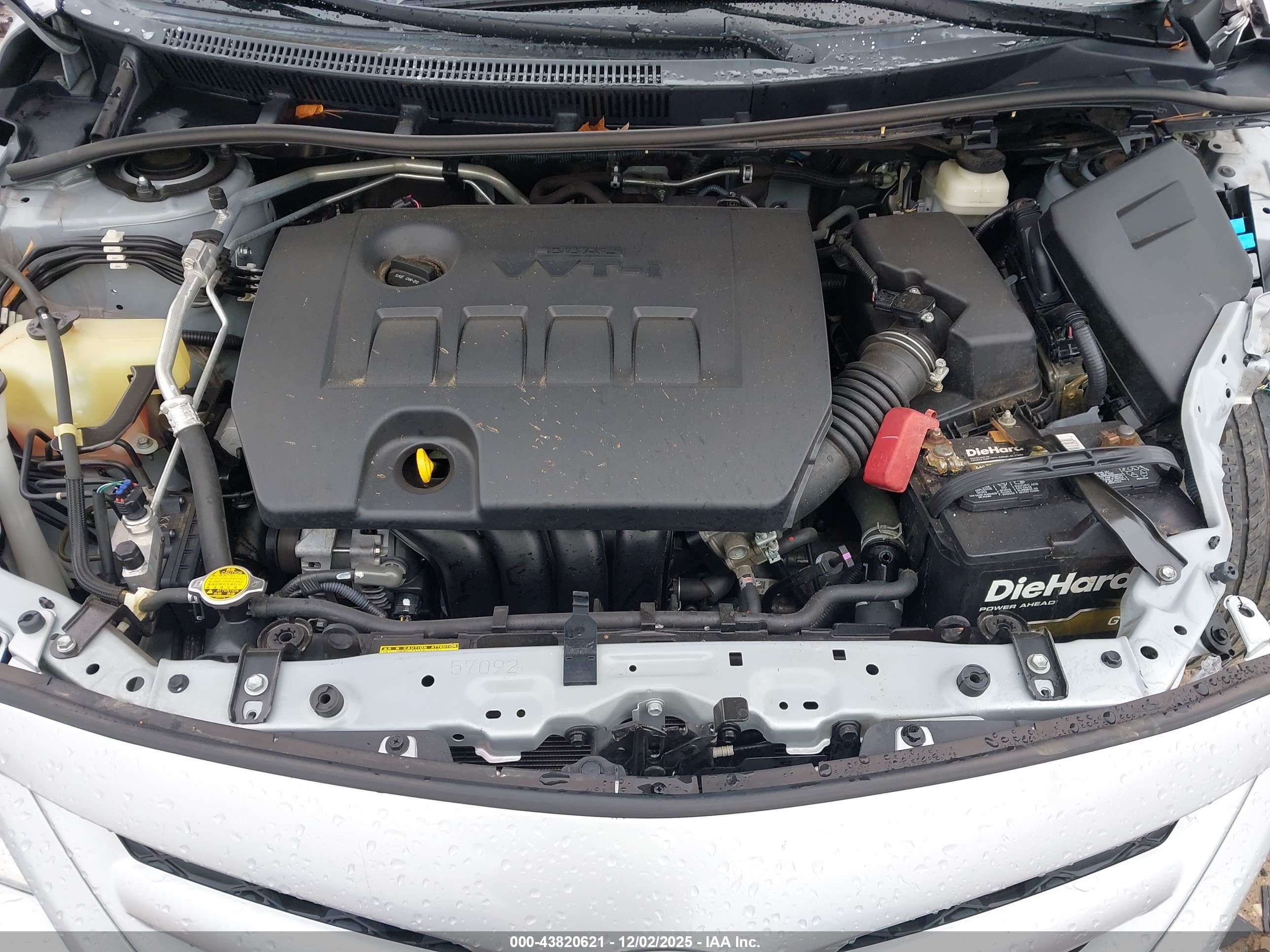 TOYOTA COROLLA image 10
