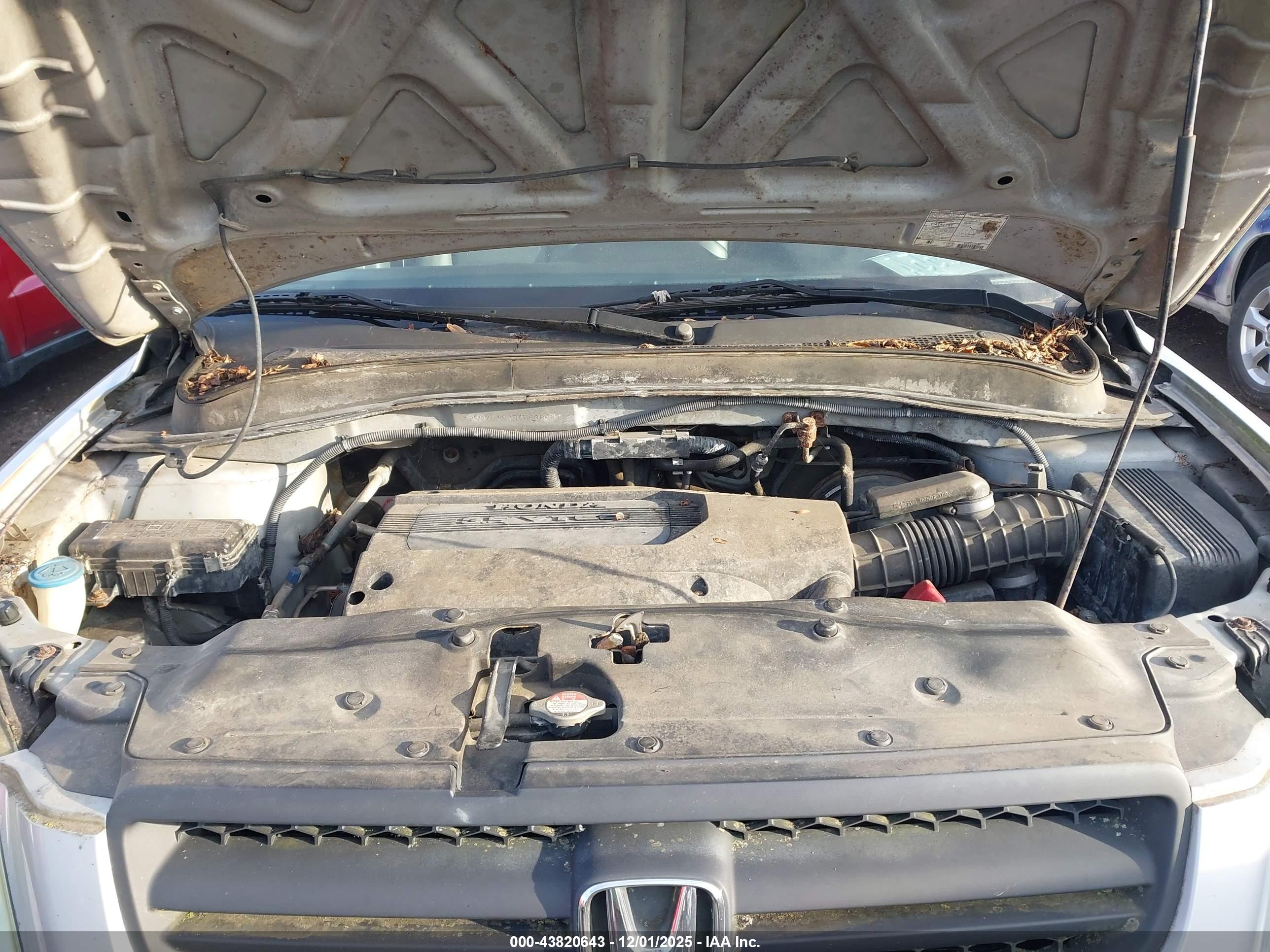 HONDA PILOT image 10
