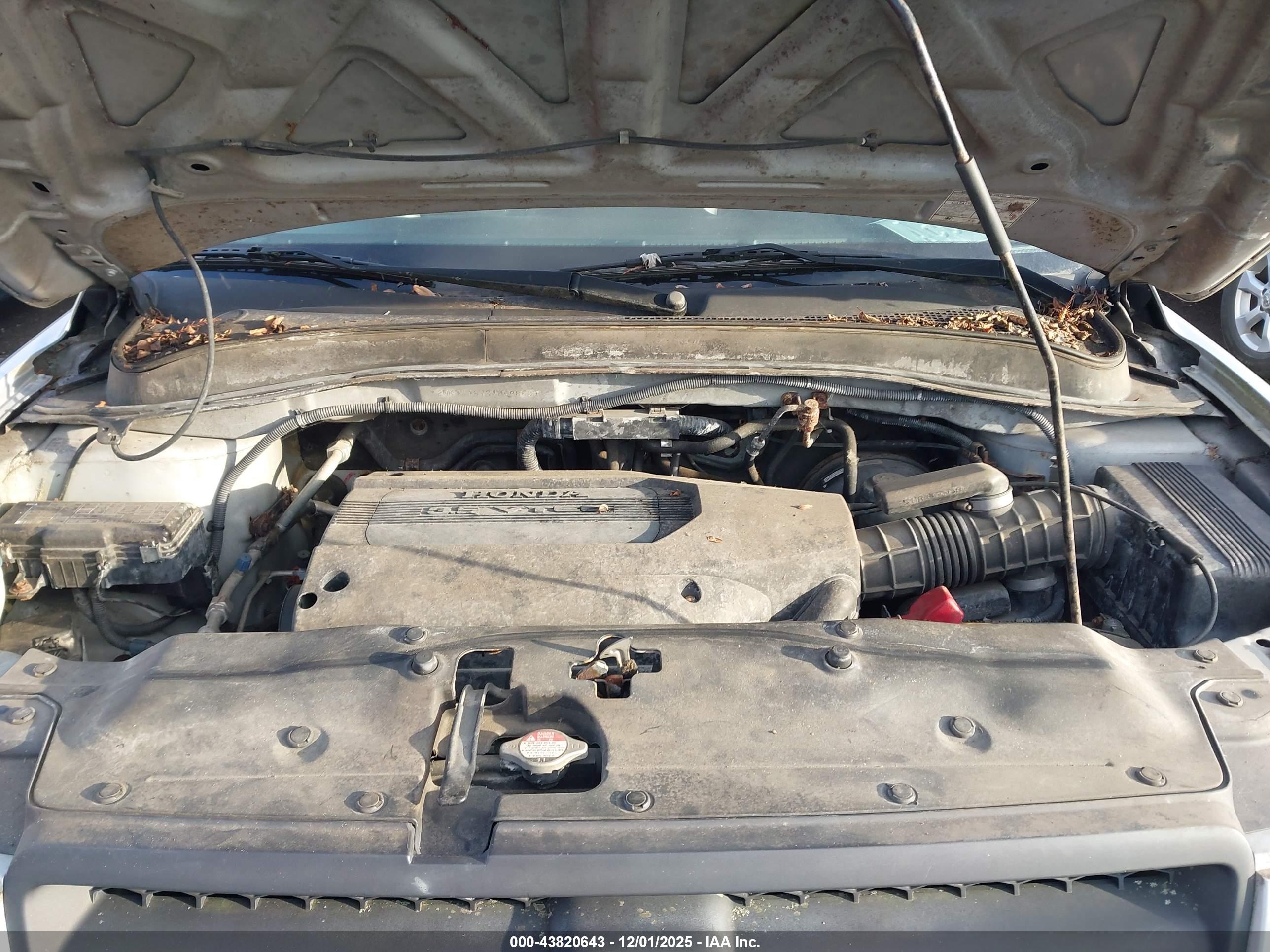 HONDA PILOT image 6