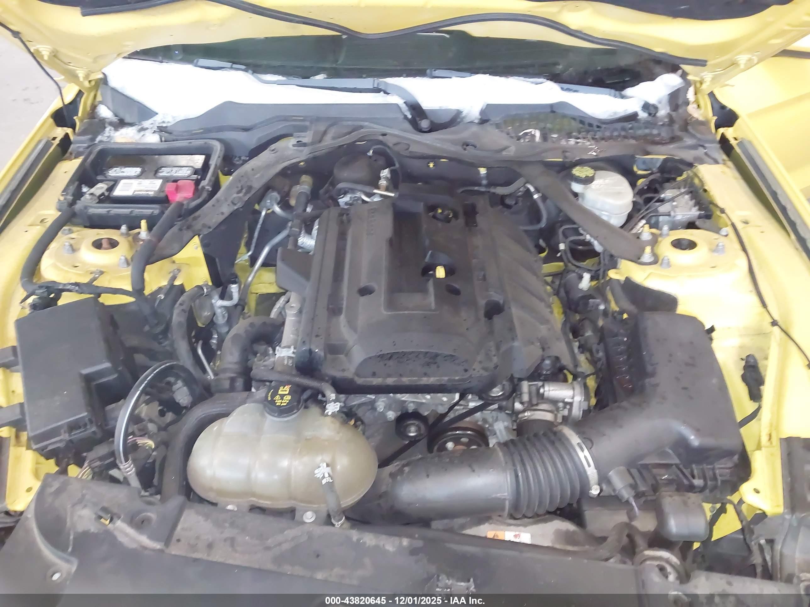 FORD MUSTANG image 10