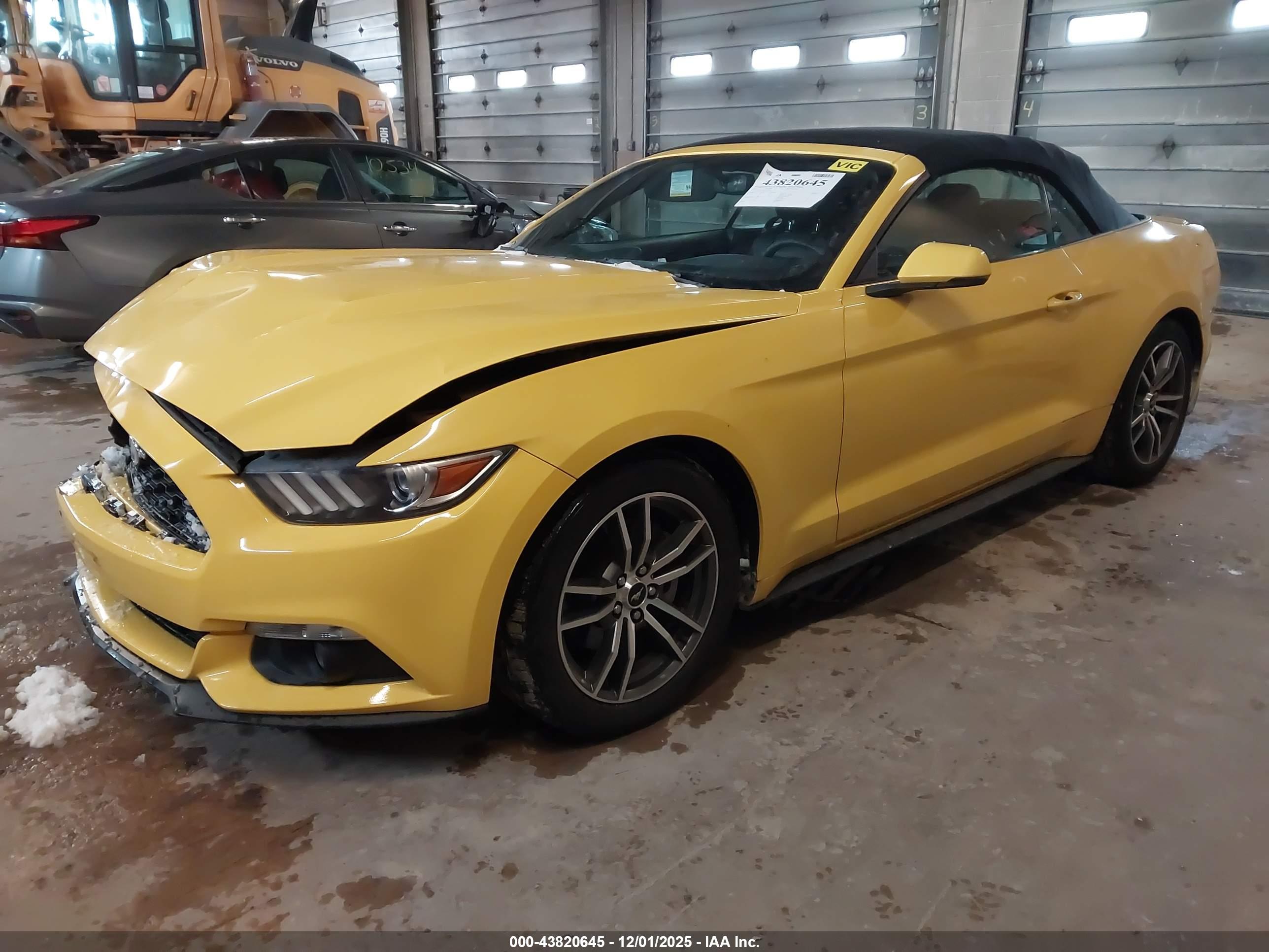 FORD MUSTANG image 2