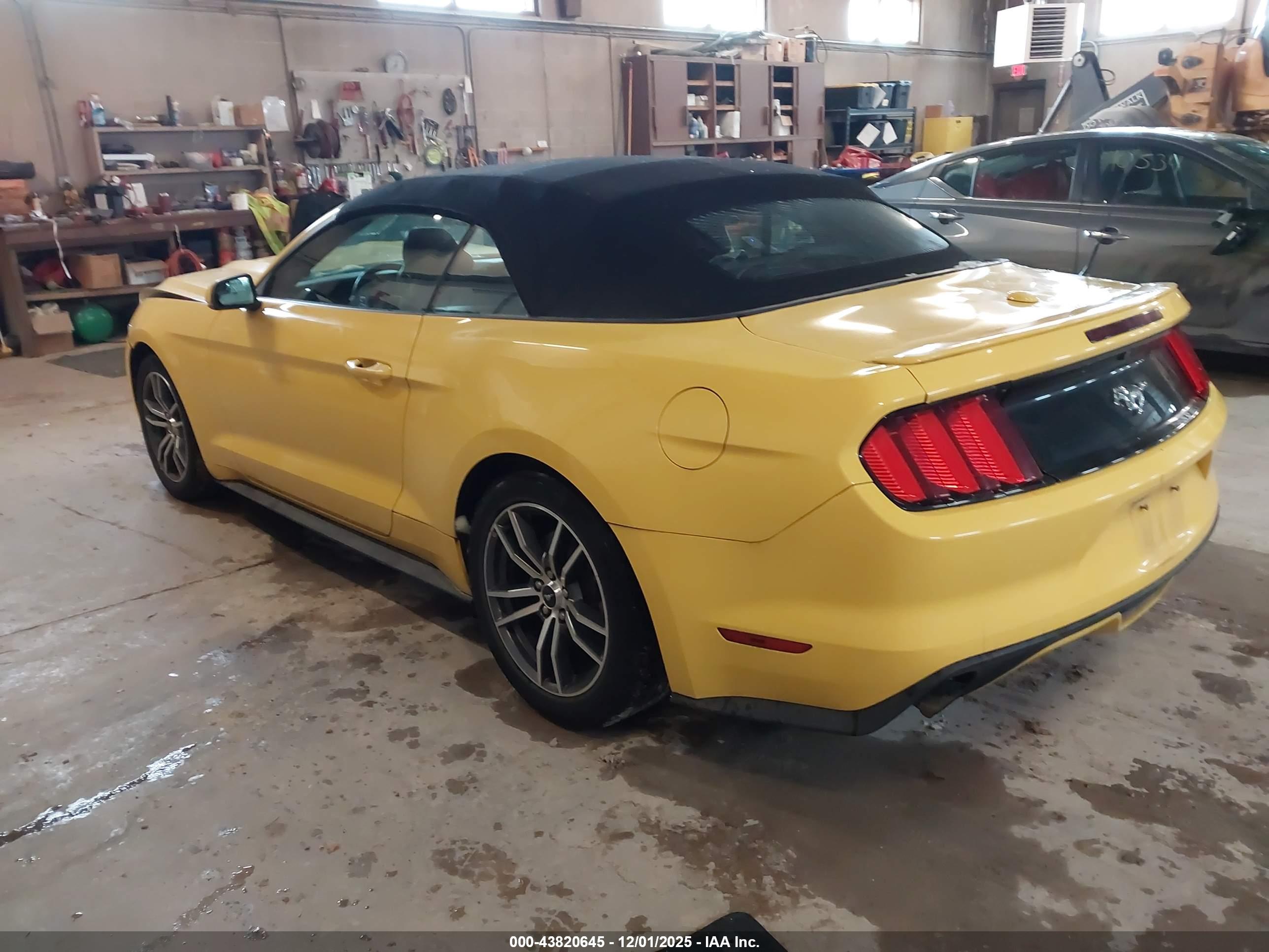 FORD MUSTANG image 3