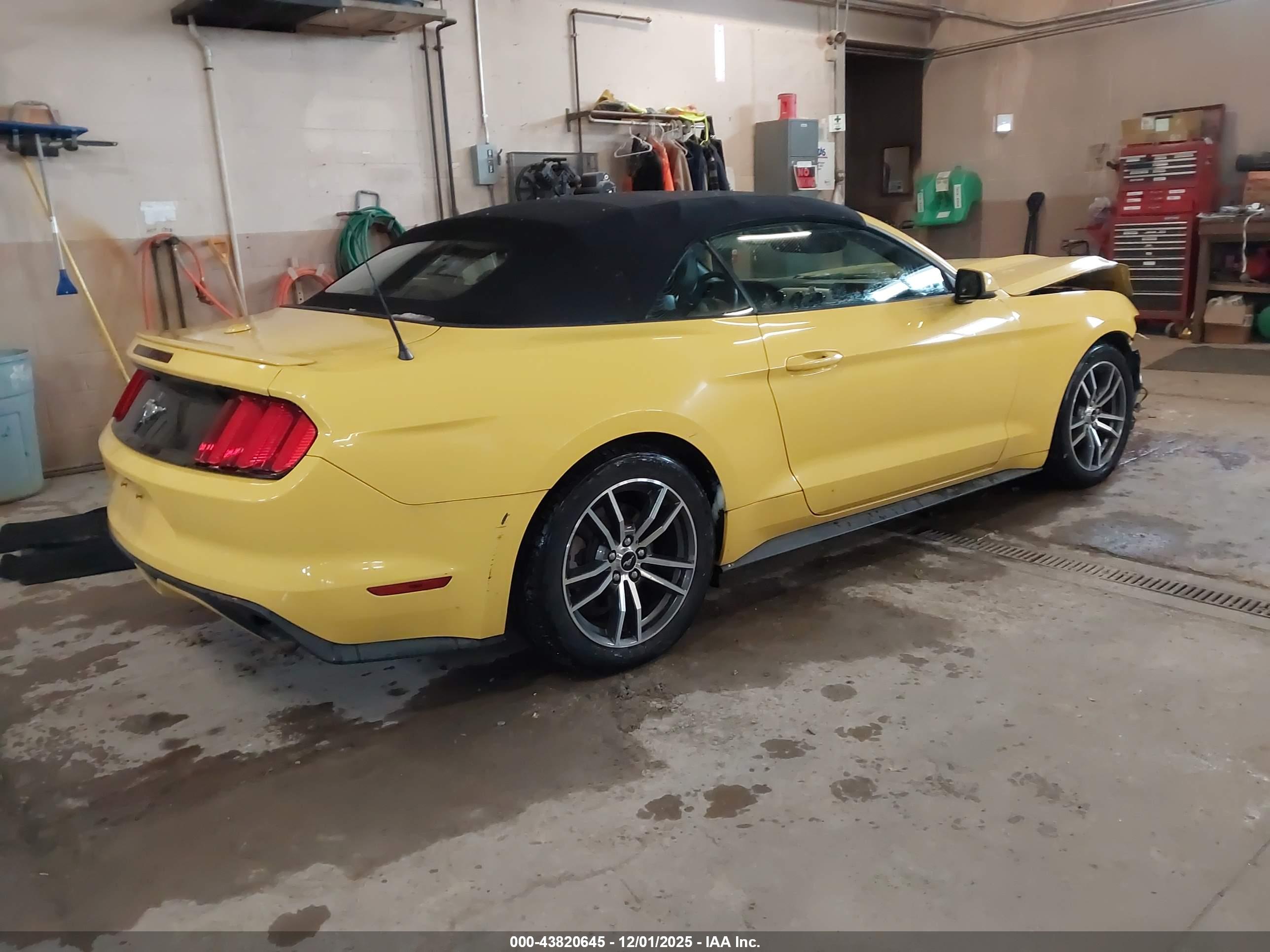 FORD MUSTANG image 4