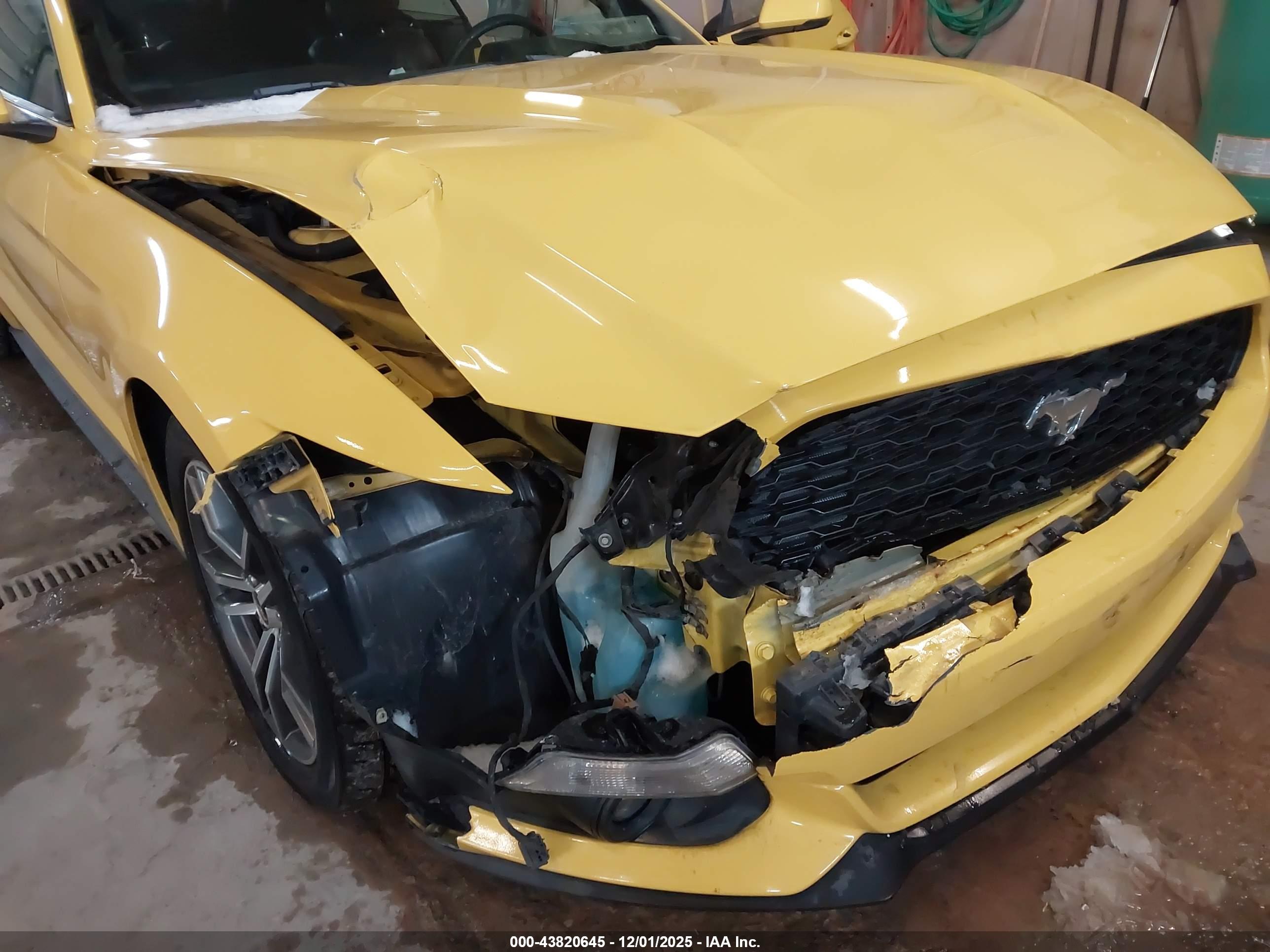 FORD MUSTANG image 6