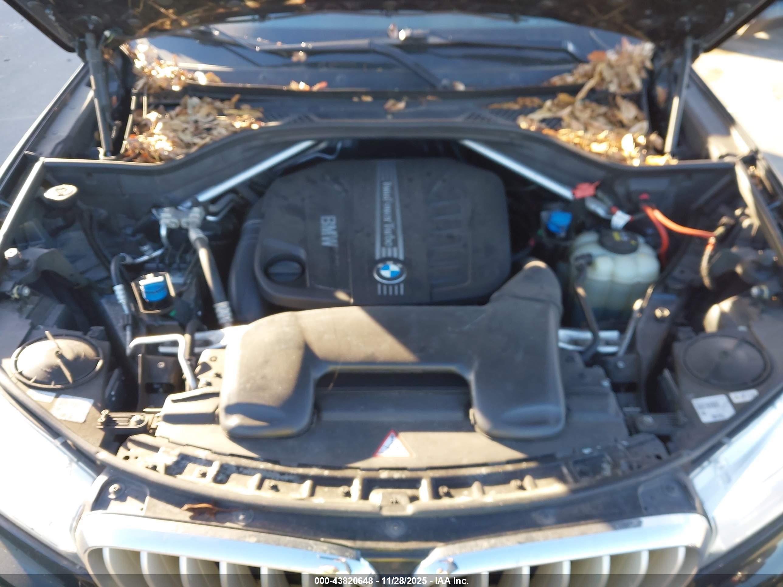BMW X5 image 10