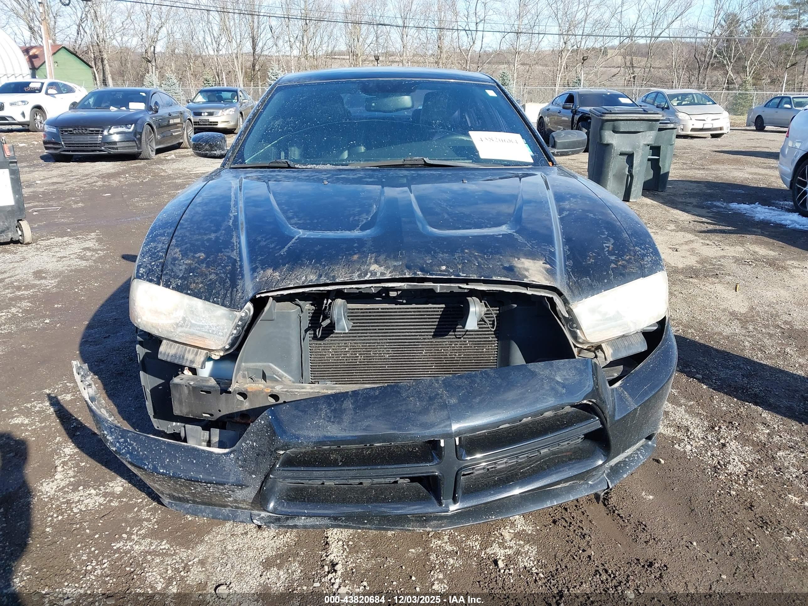 DODGE CHARGER image 6