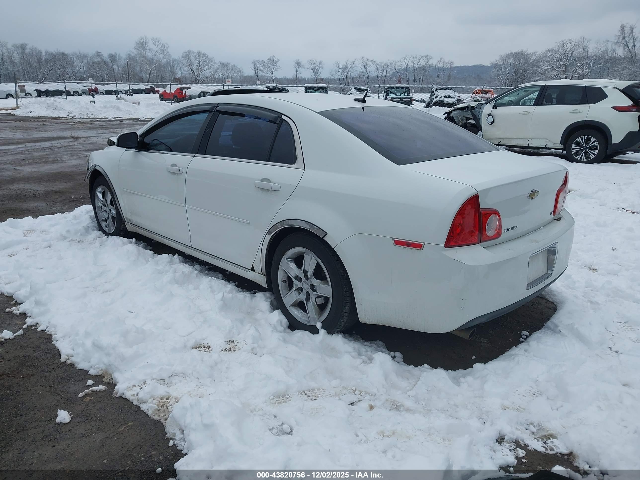 CHEVROLET MALIBU image 3