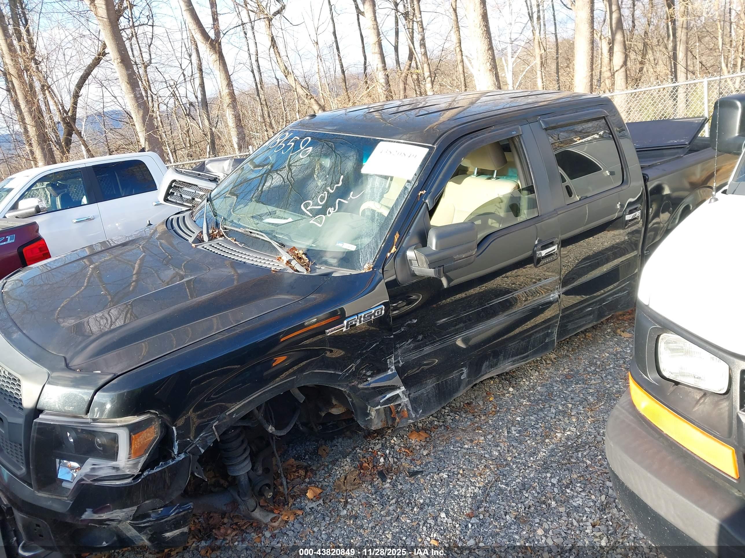 FORD F-150 image 2