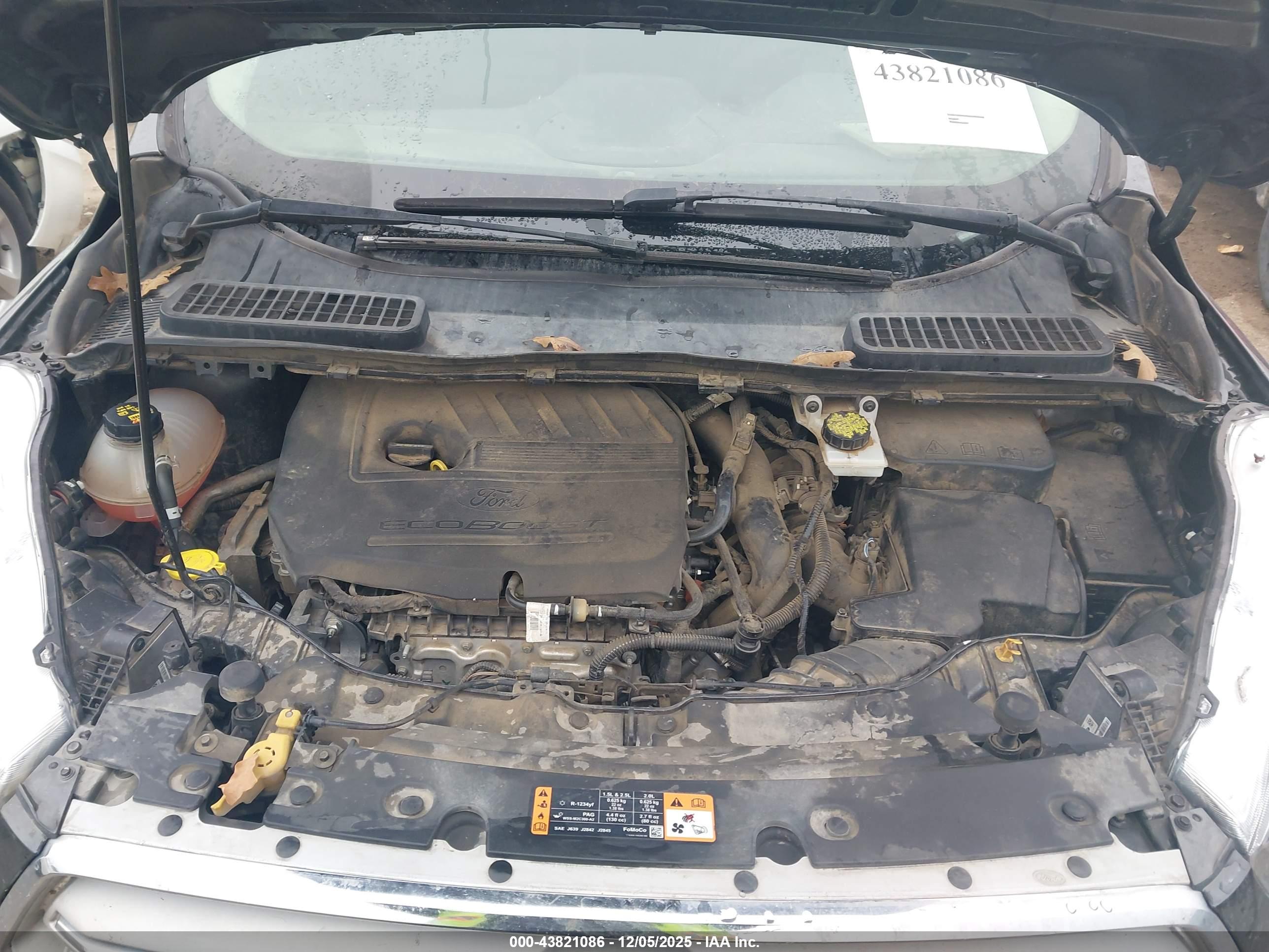 FORD ESCAPE image 10