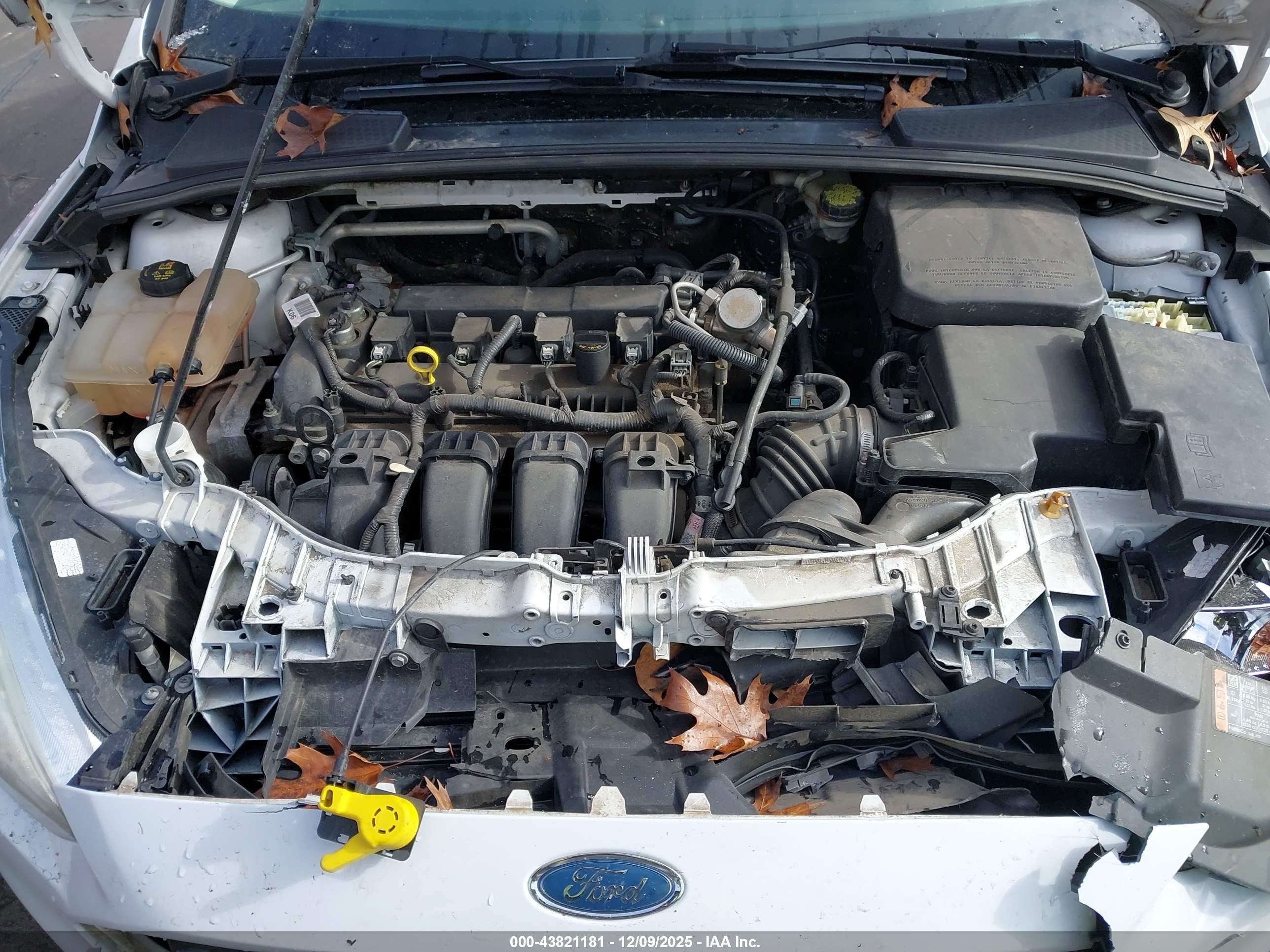 FORD FOCUS image 10