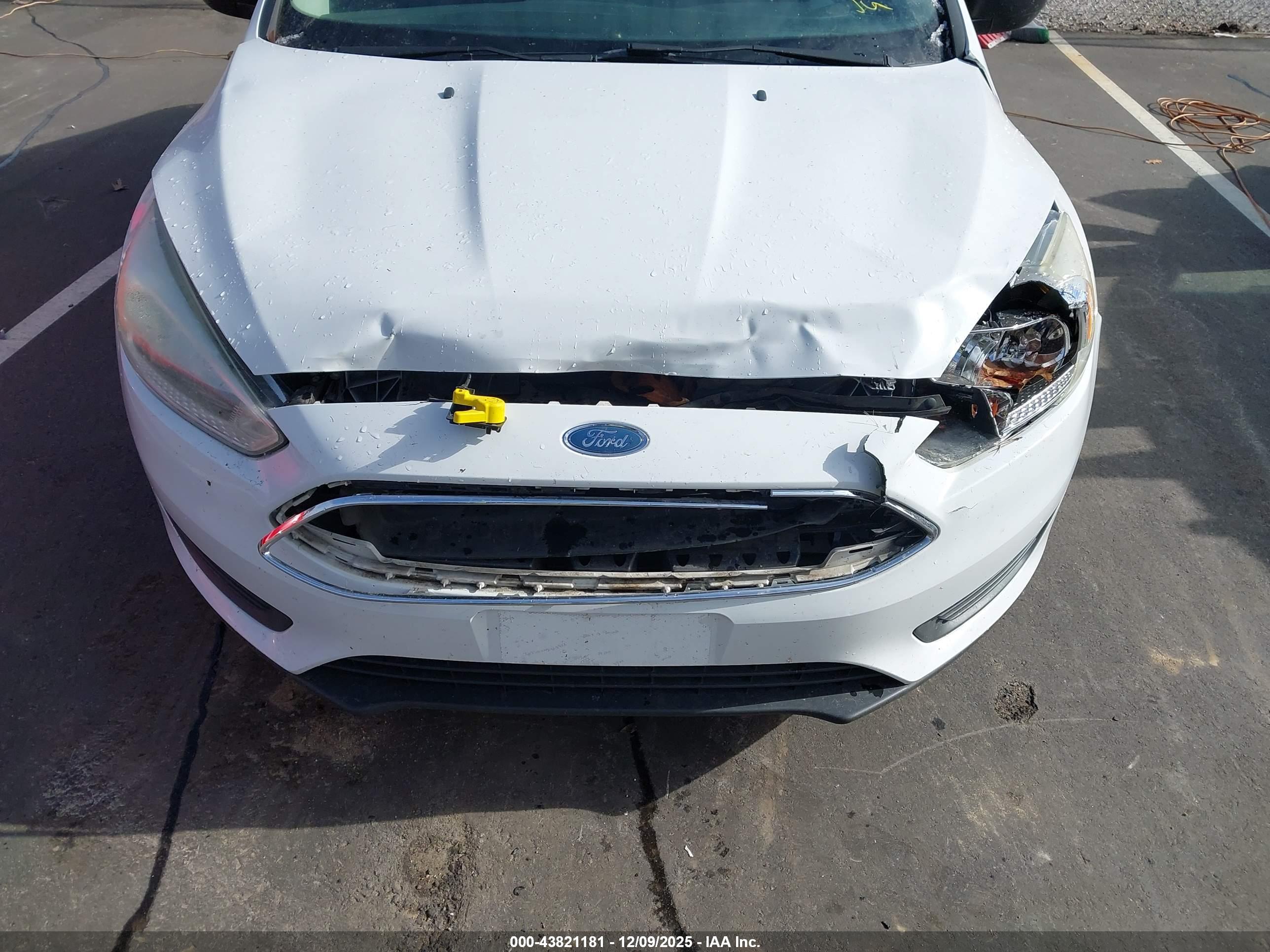 FORD FOCUS image 6